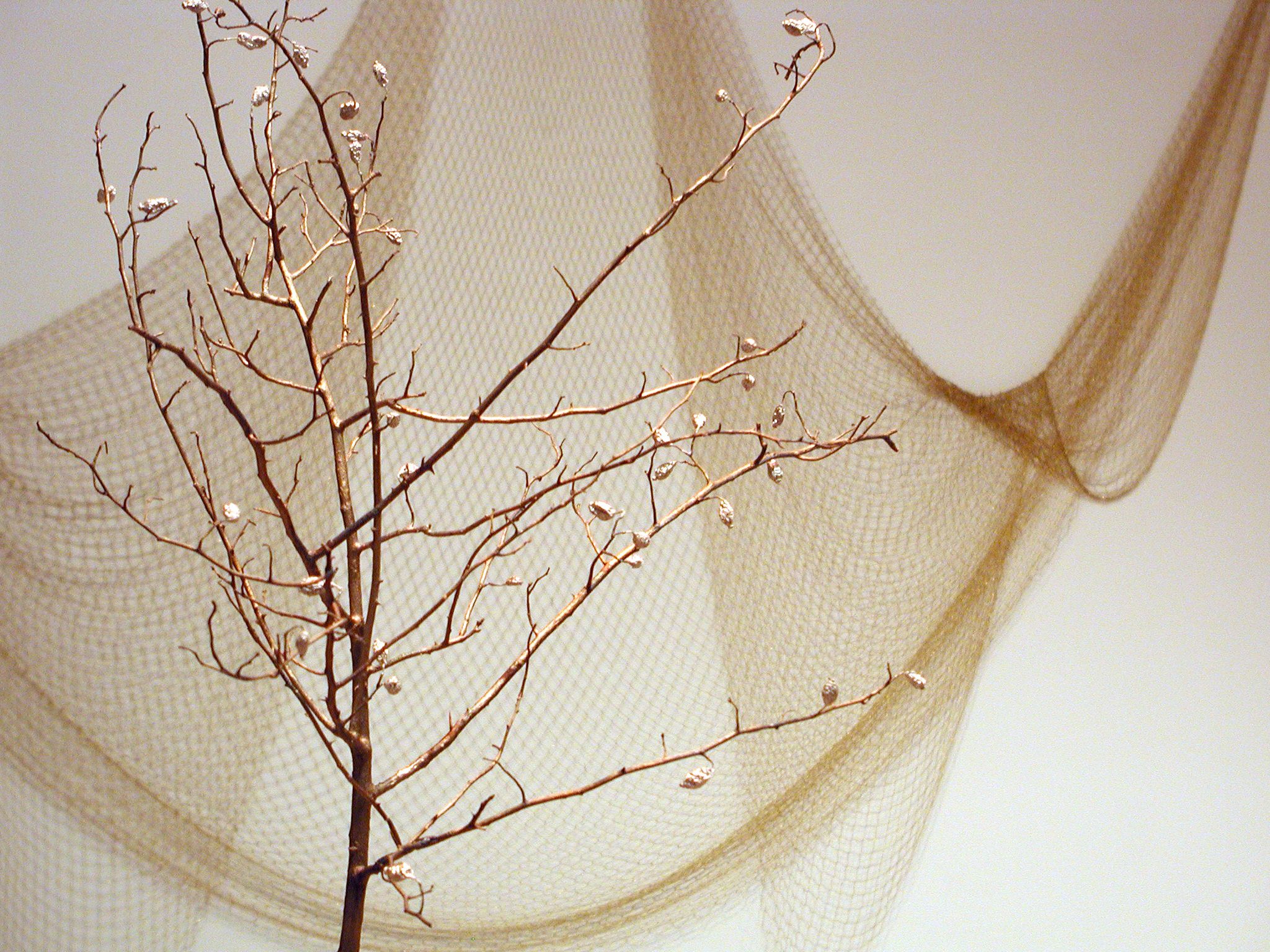 Sculpture by Anya Gallaccio