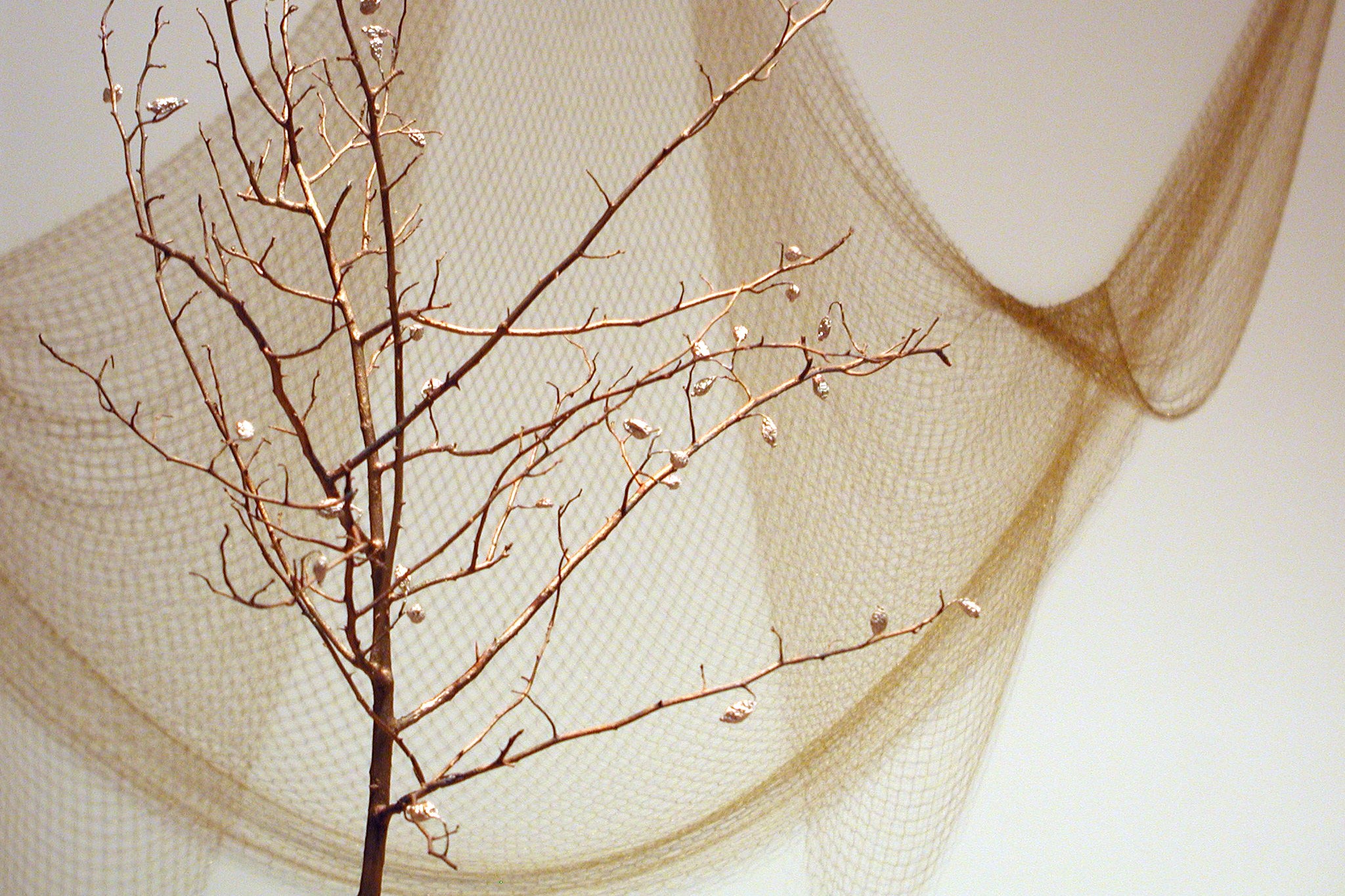 Sculpture by Anya Gallaccio