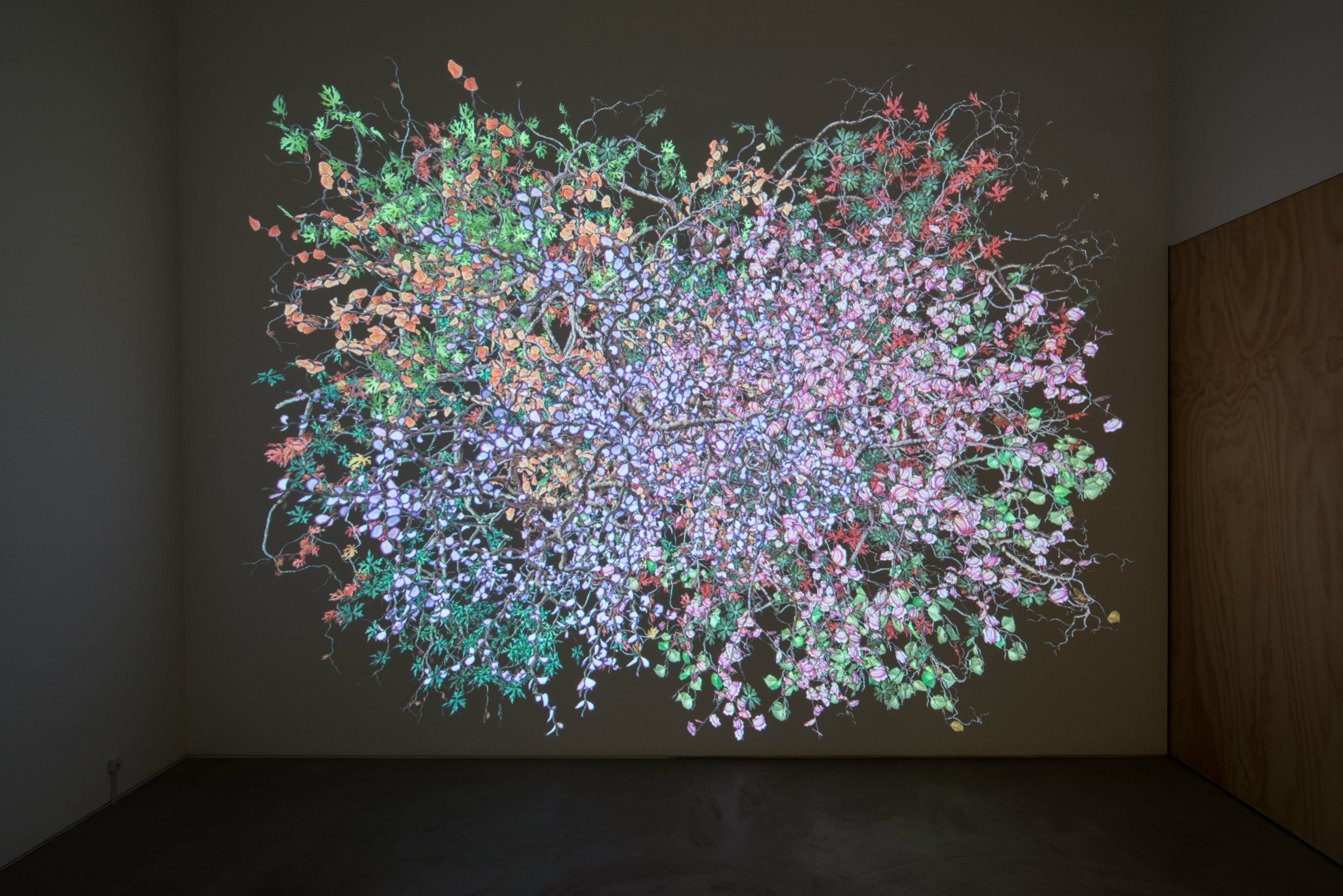 Installation view of Diaspore at Lehmann Maupin Hong Kong