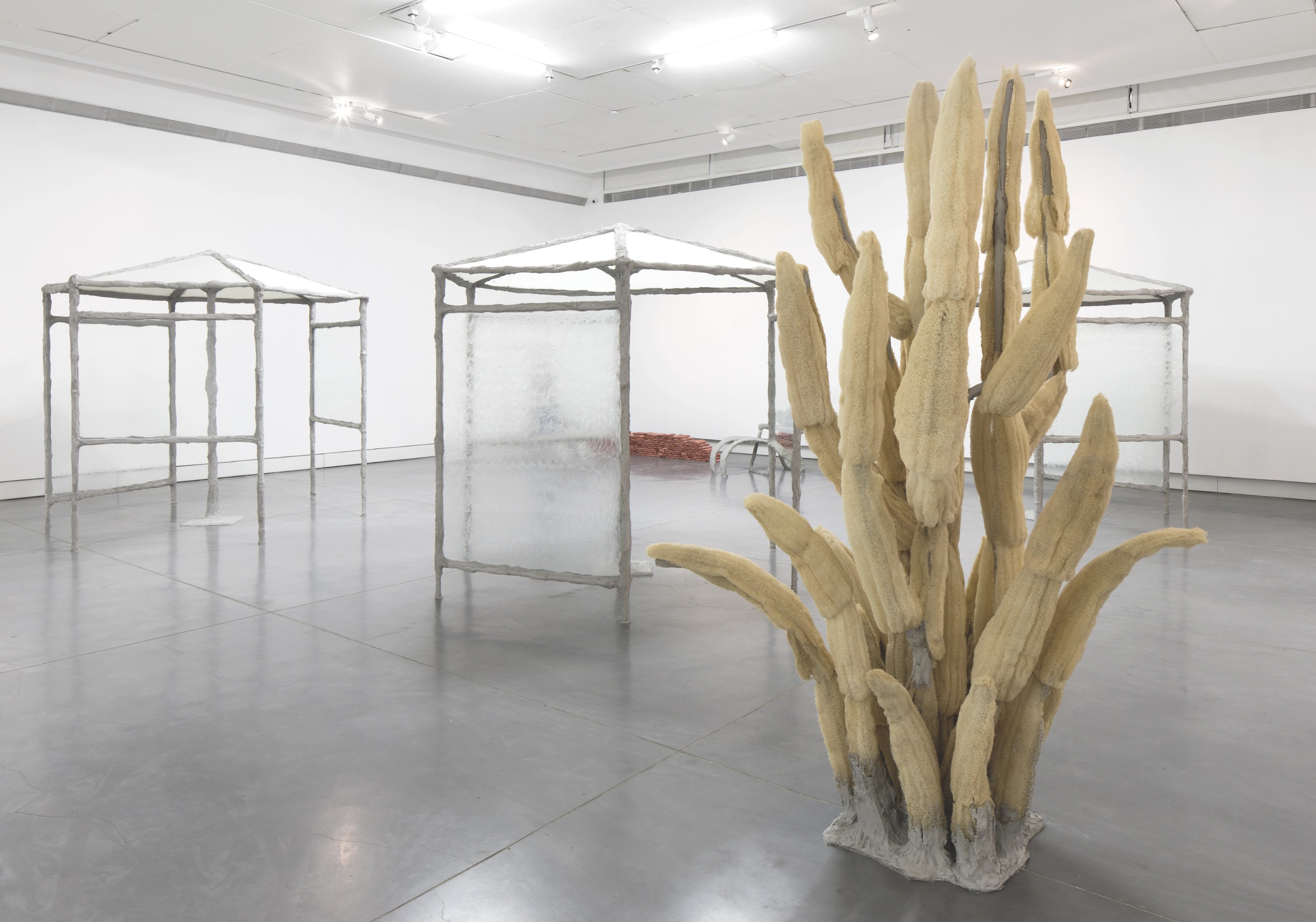 Oren Pinhassi: Springs