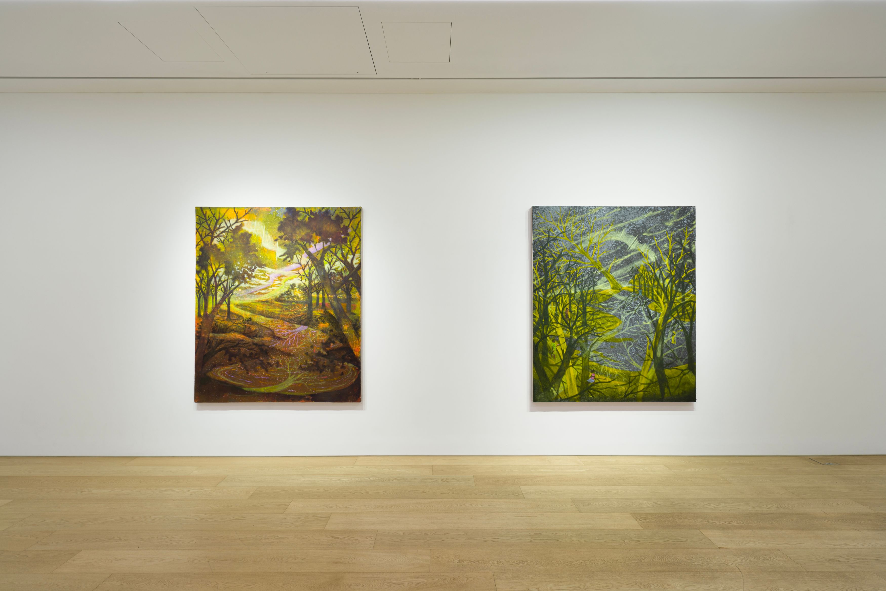 Installation view of Dominic Chambers at Lehmann Maupin Seoul