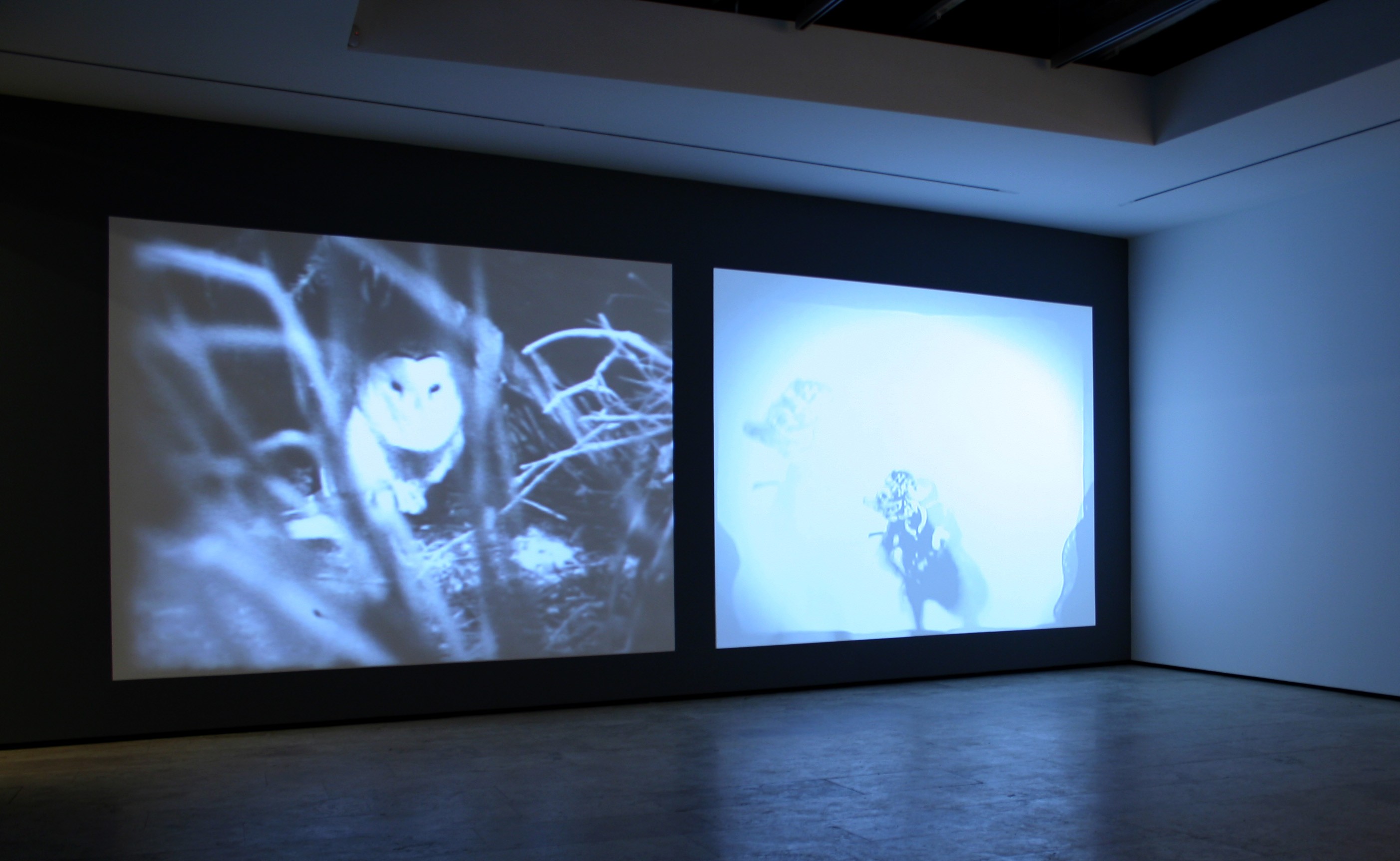 Installation view of DUET at Lehmann Maupin New York