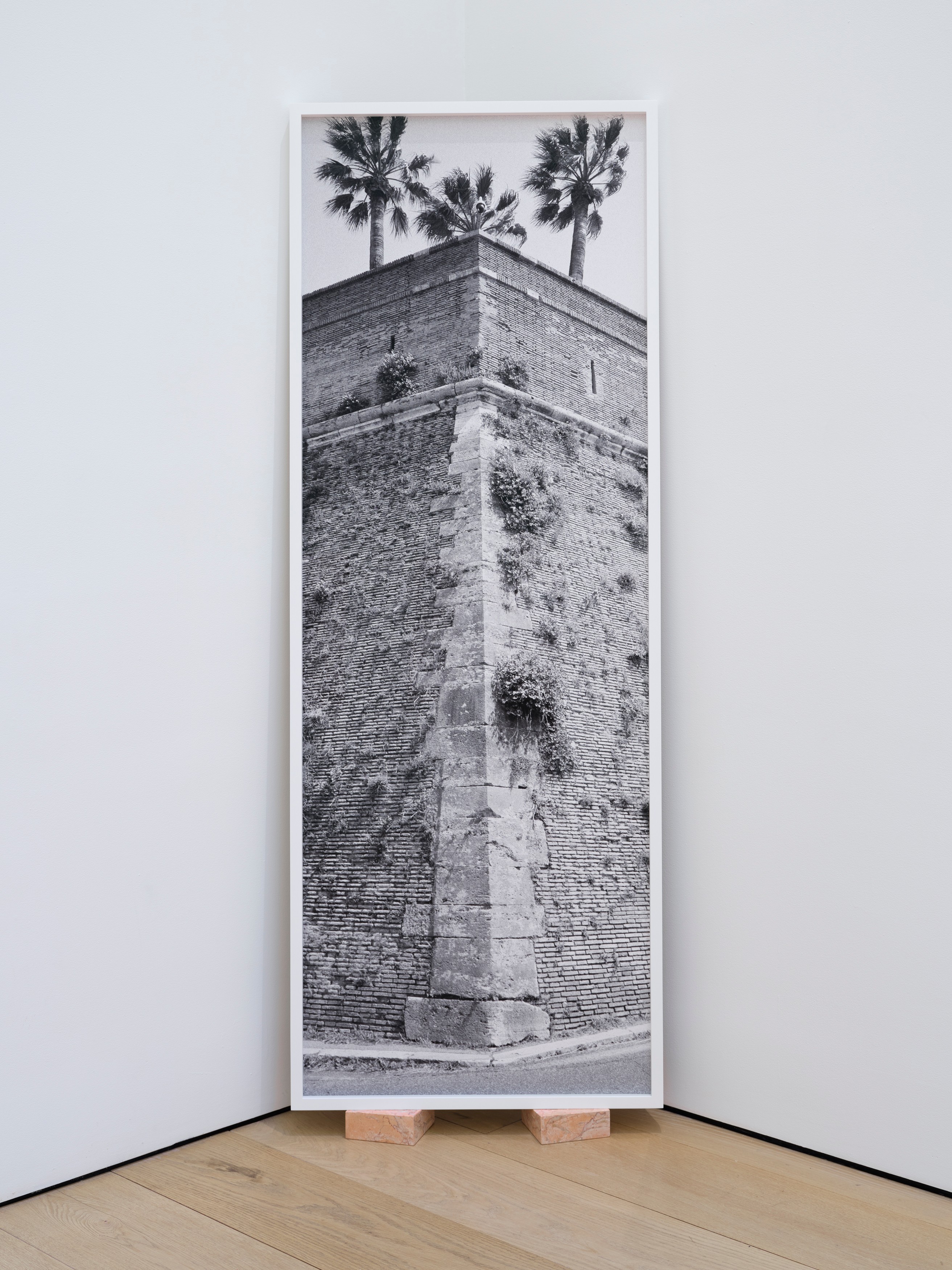 Photograph by Catherine Opie