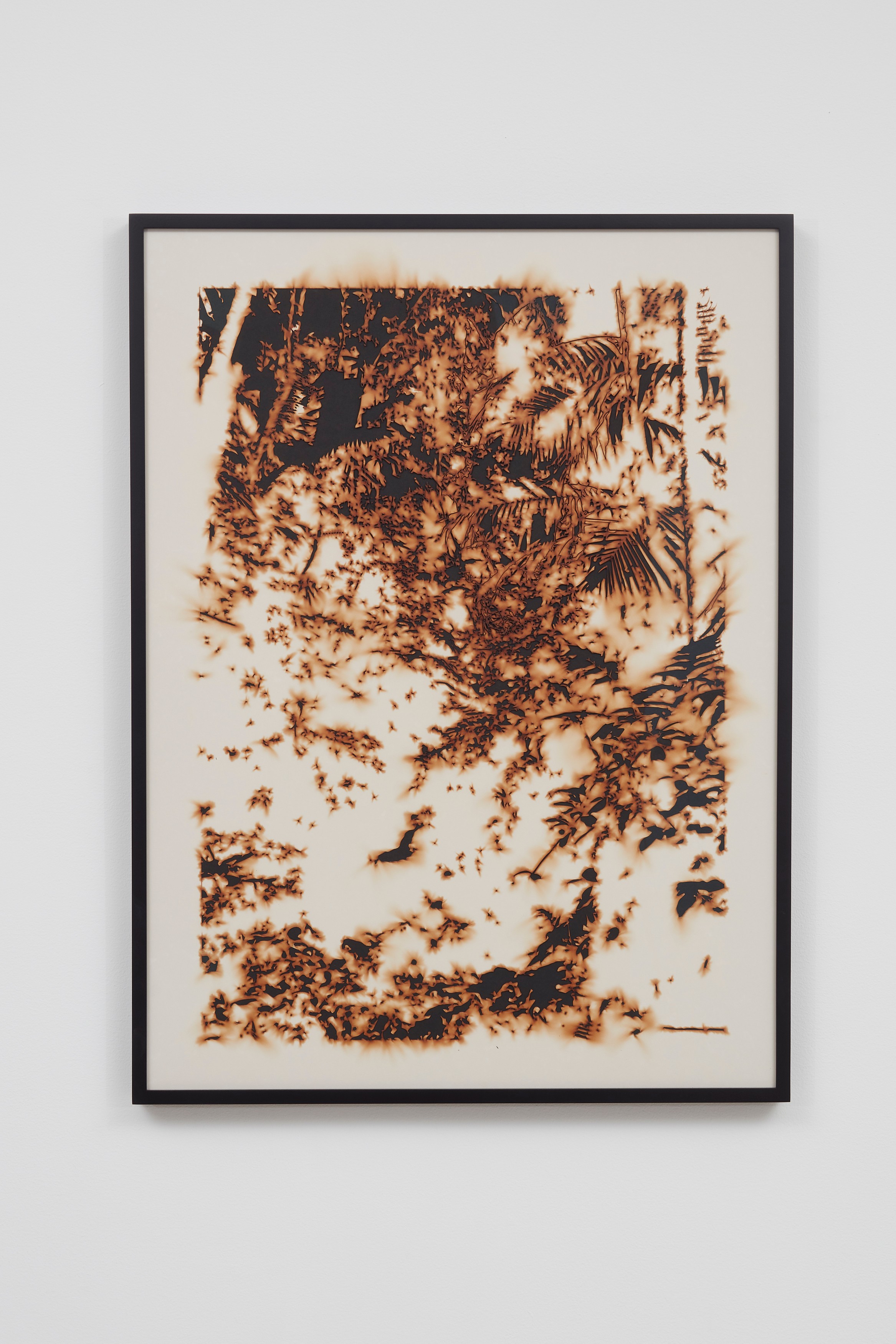 Work on paper by Teresita Fernández