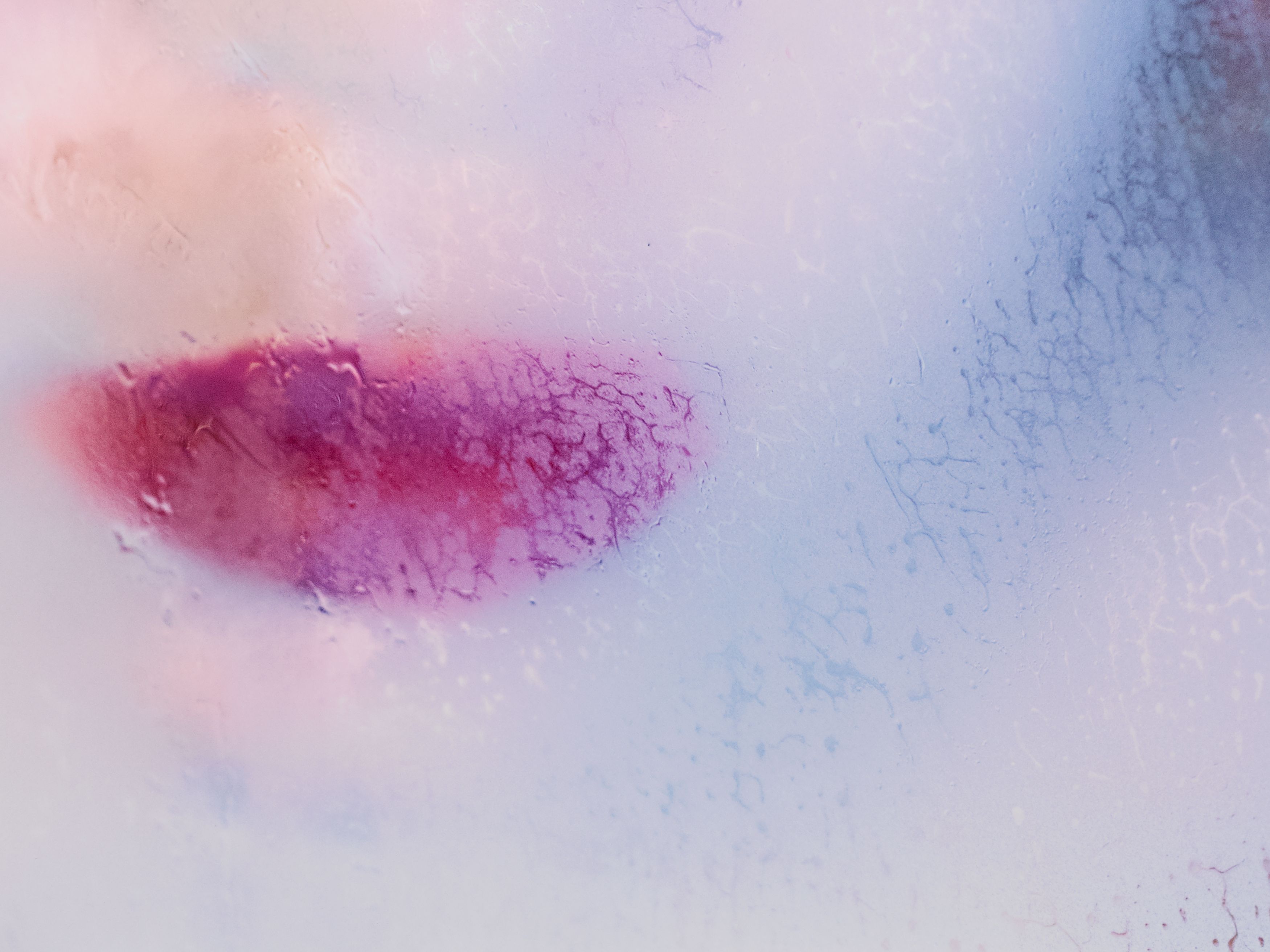 Detail of photograph by Marilyn Minter