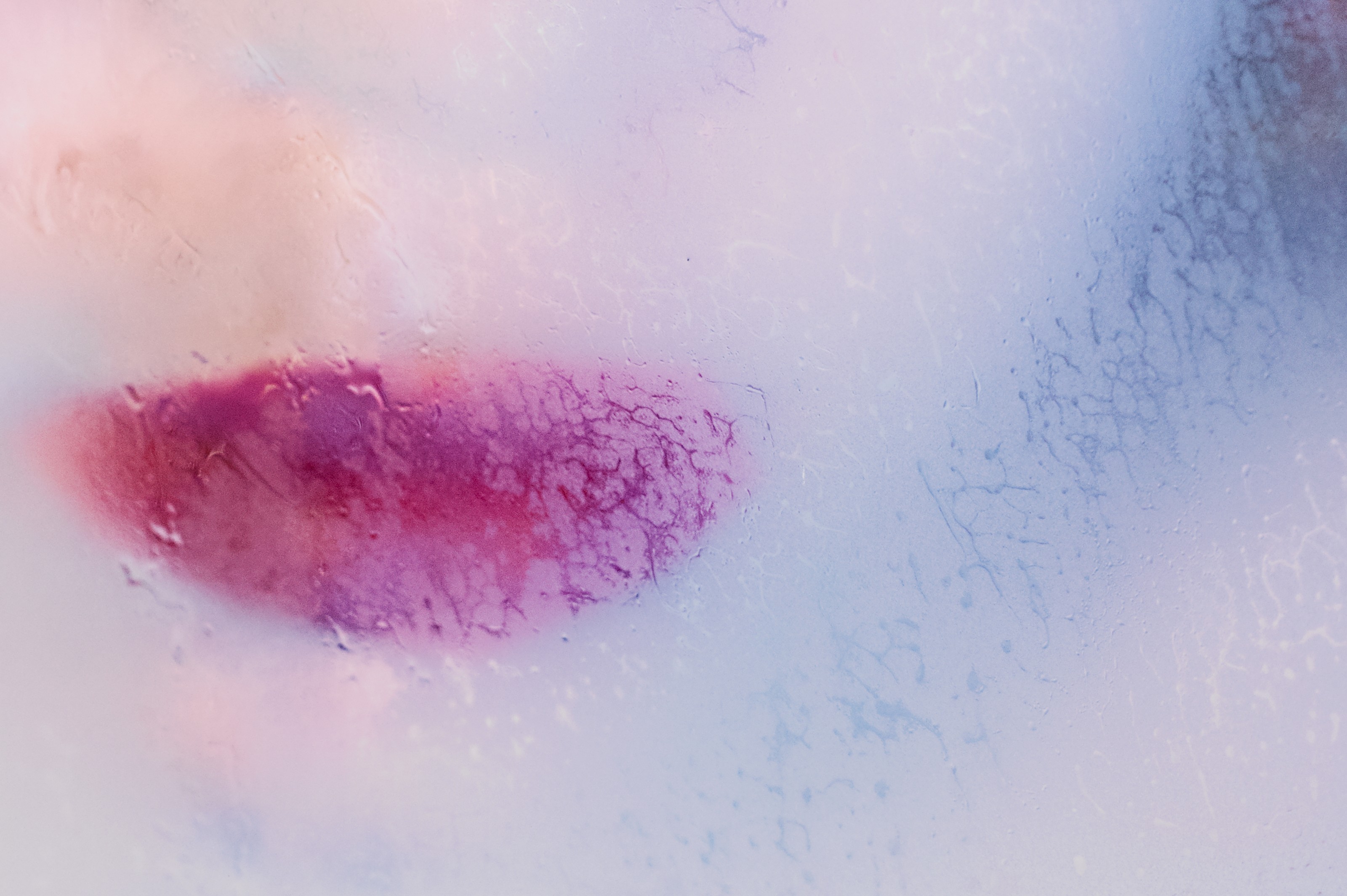 Detail of photograph by Marilyn Minter