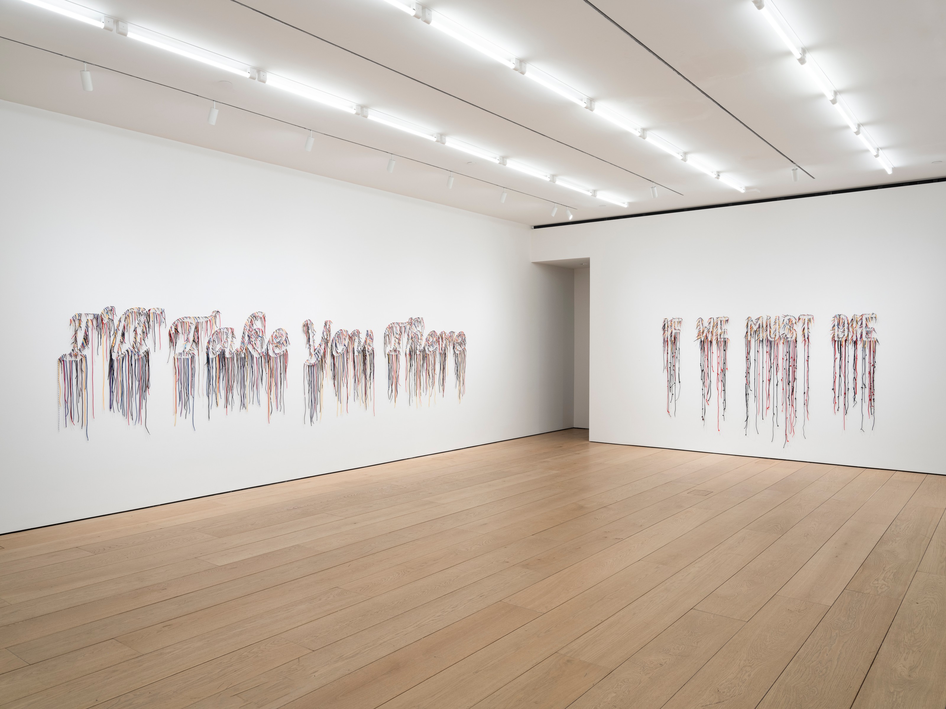 Installation view of Nari Ward at Lehmann Maupin New York