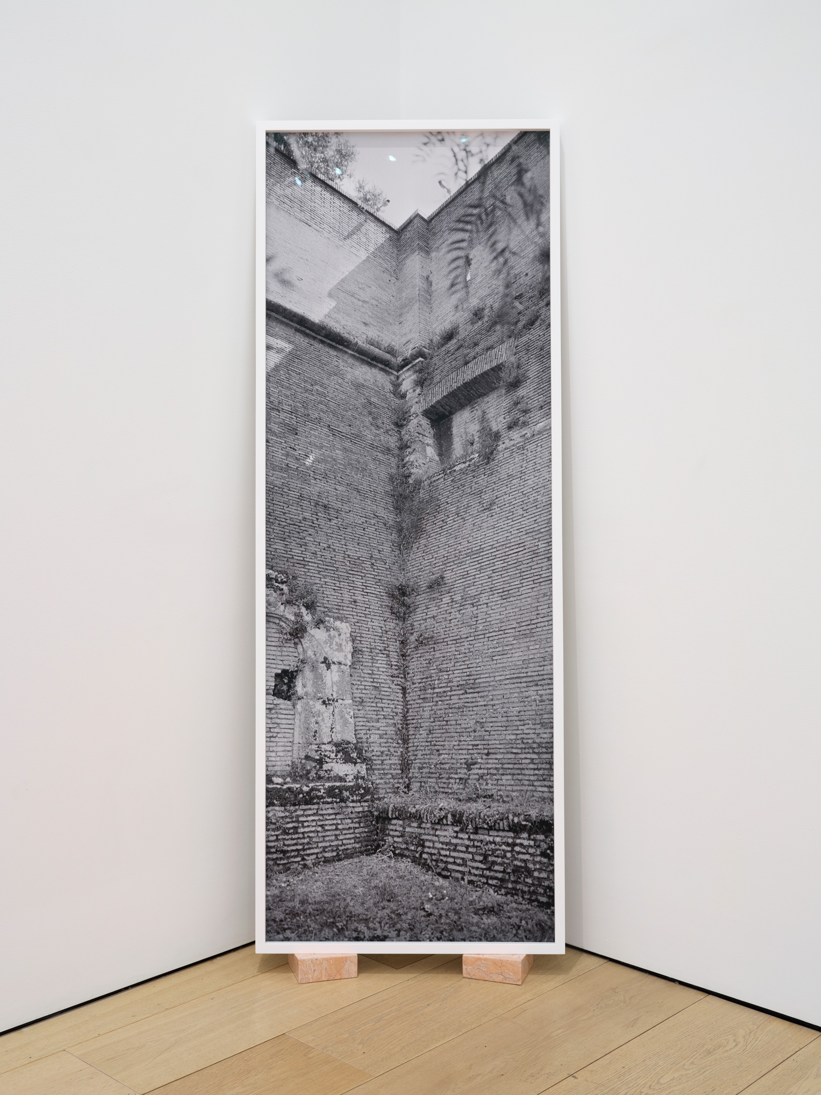 Photograph by Catherine Opie
