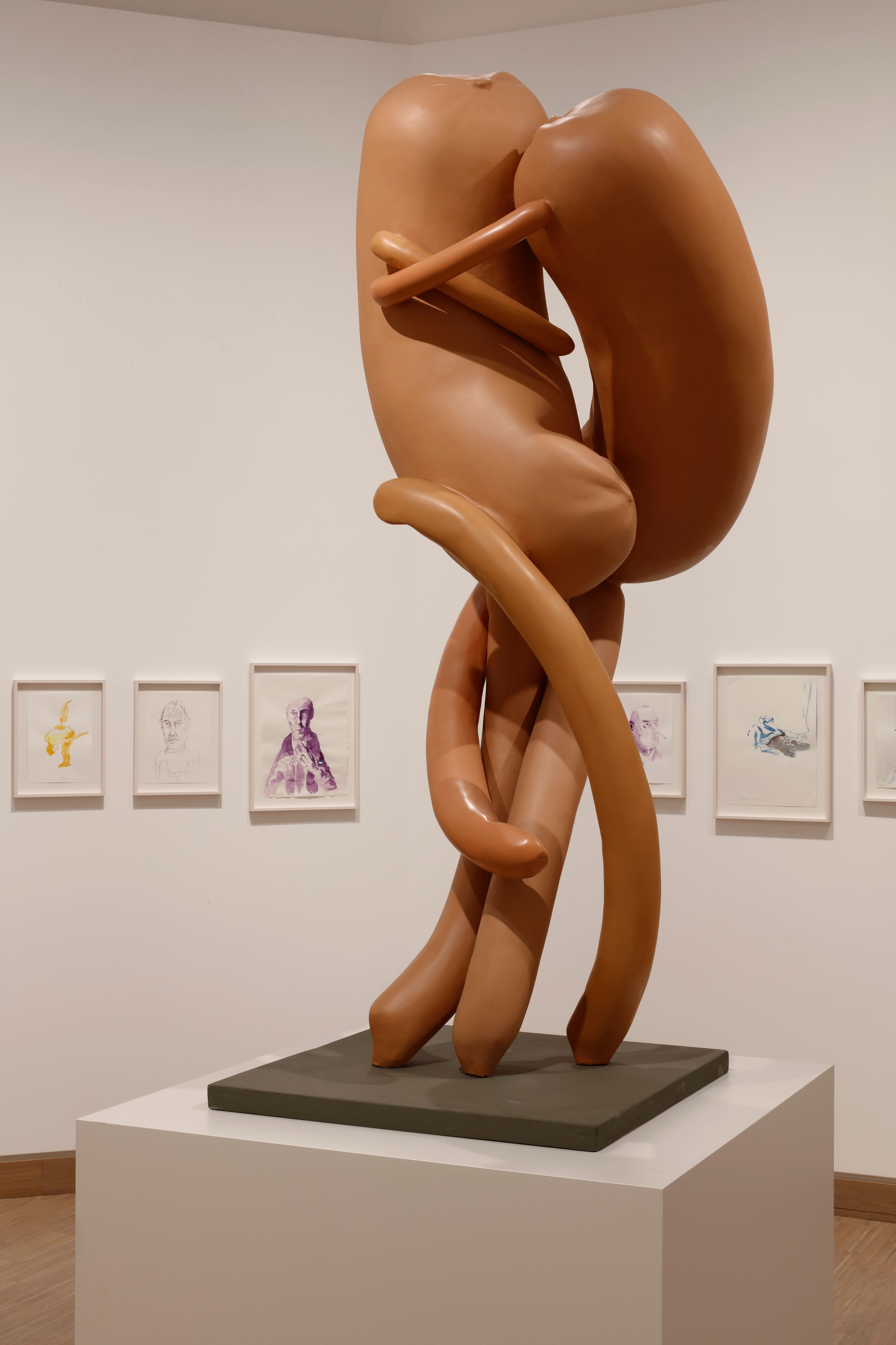 Installation view of Erwin Wurm at Albertina Modern