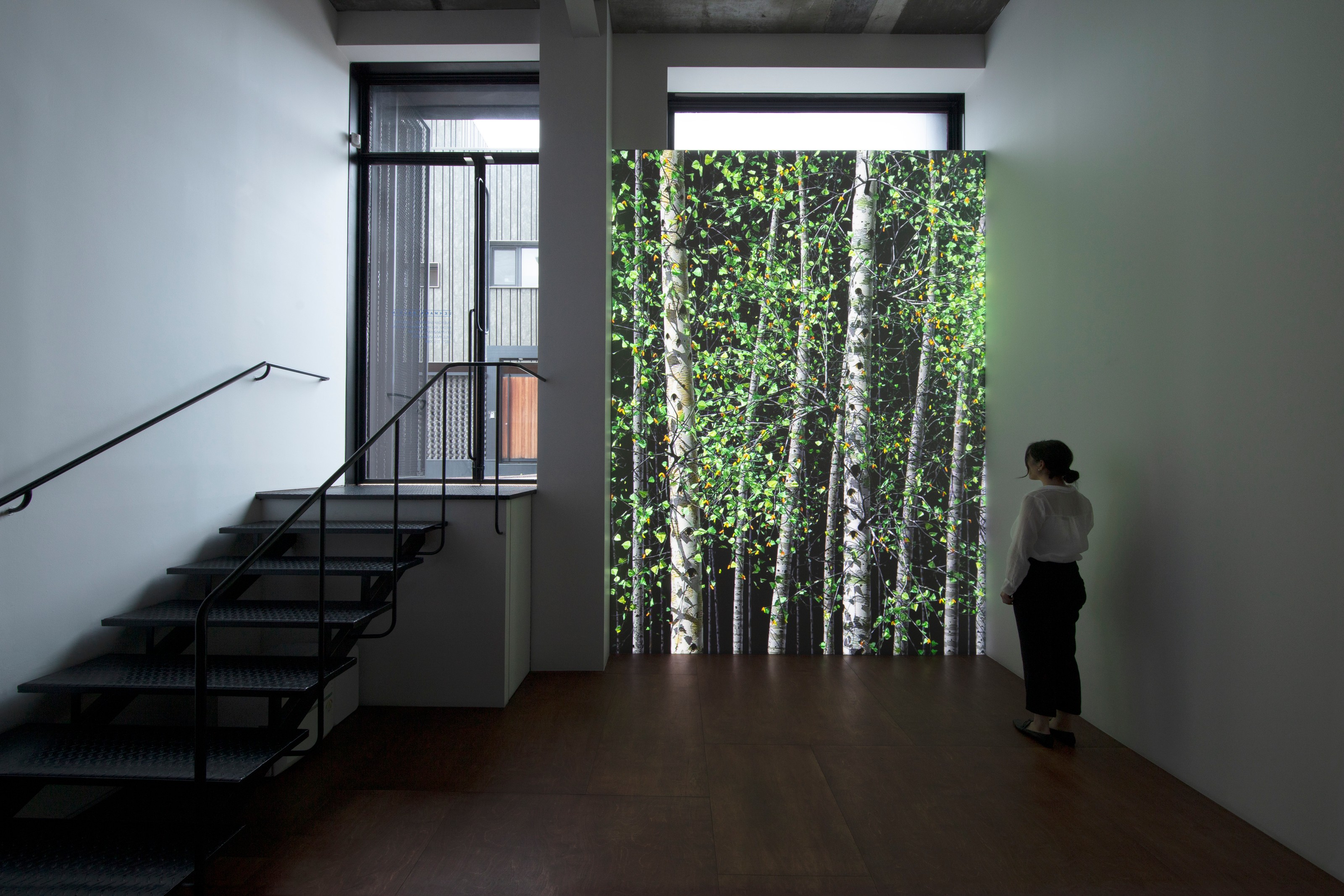 Installation view of Jennifer Steinkamp at Lehmann Maupin Seoul