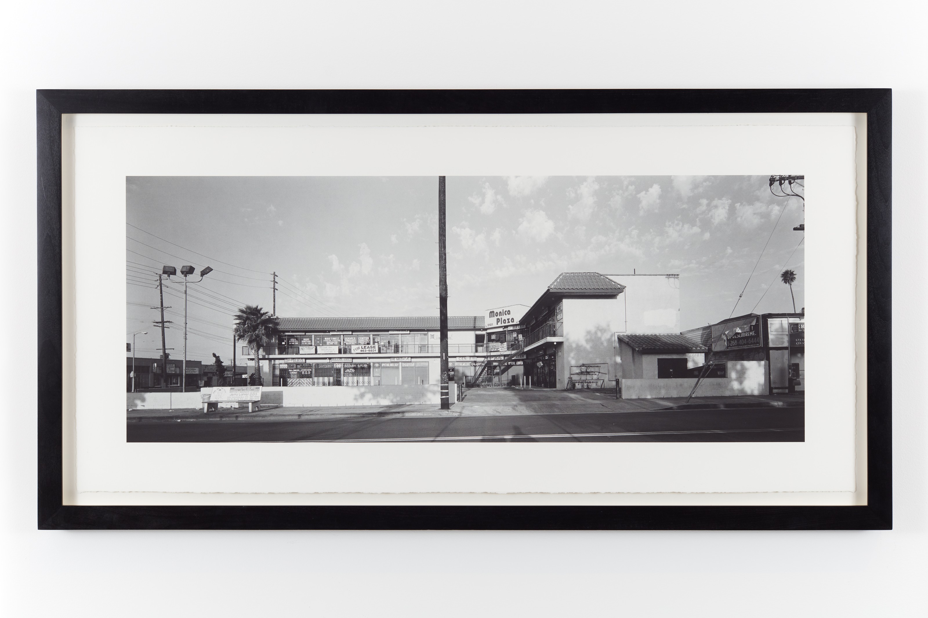 Photograph by Catherine Opie