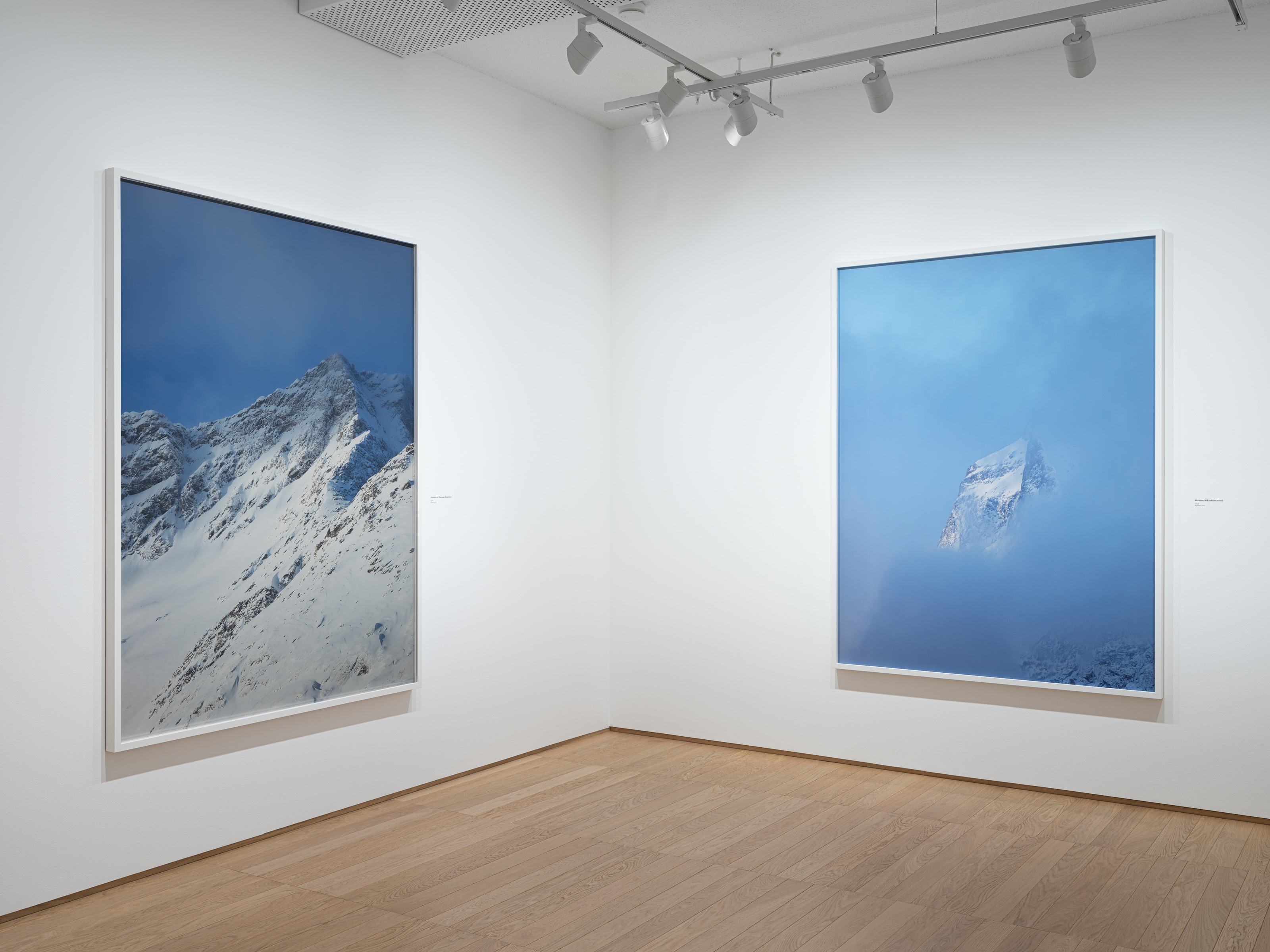 Installation view of Mountains Don't Know Their Names at PoMo