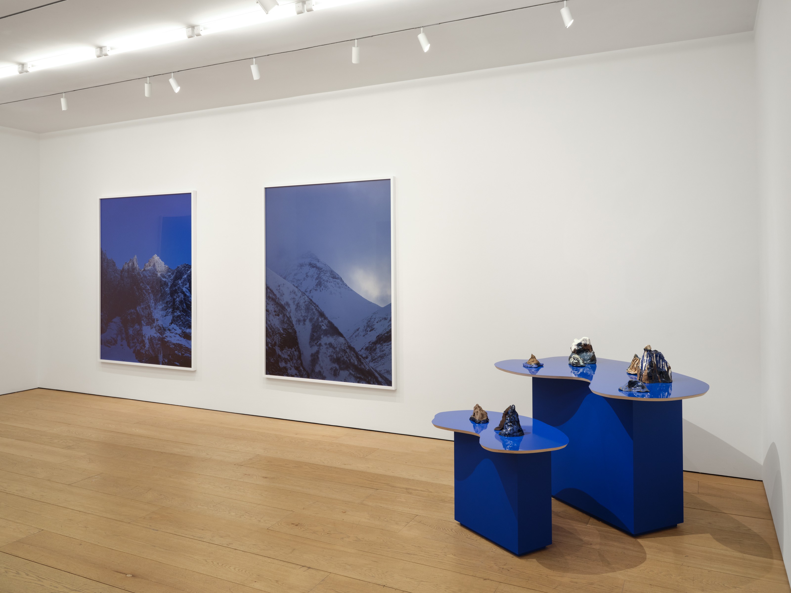 Installation view of Catherine Opie at Lehmann Maupin New York