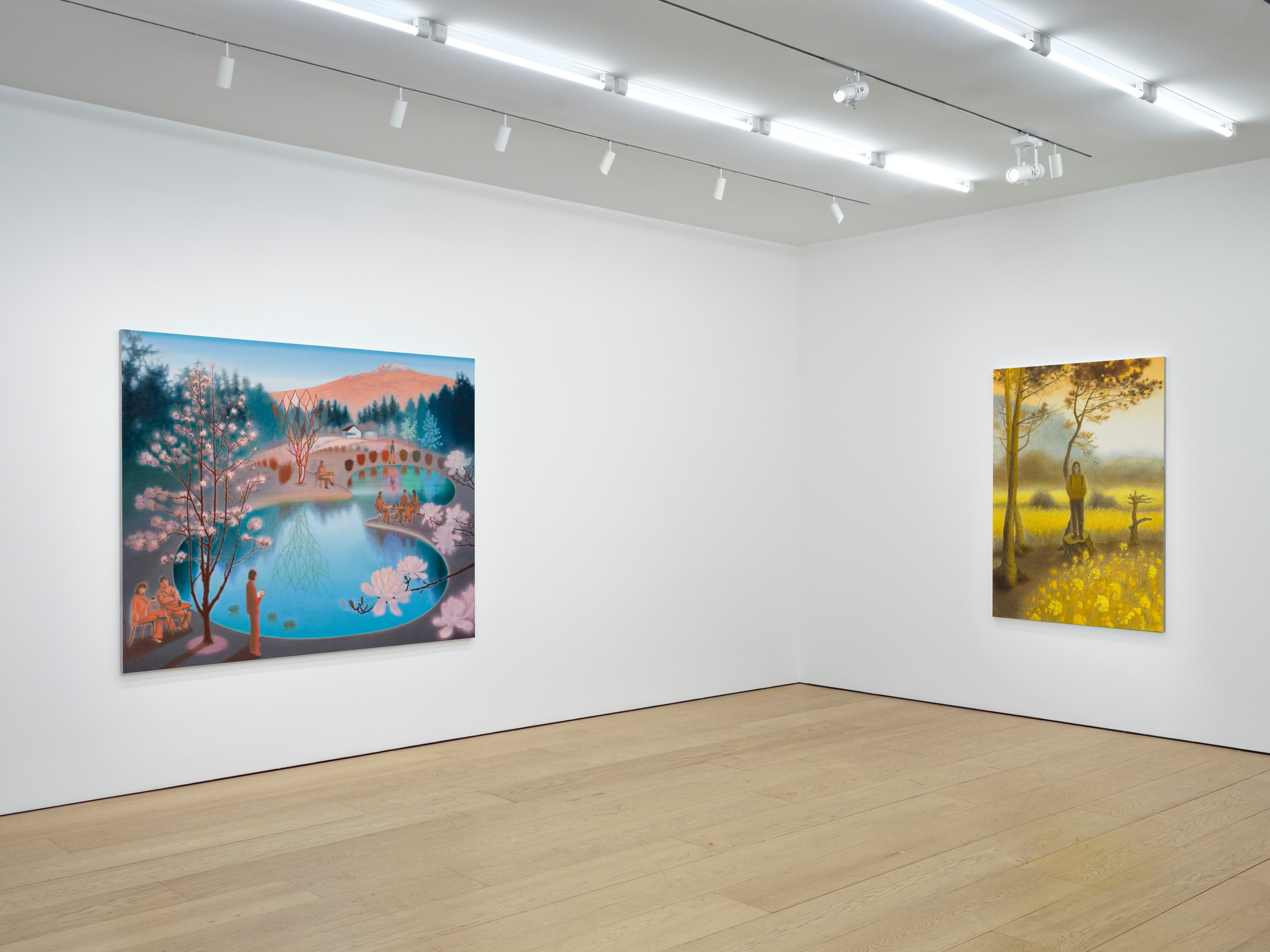 Installation view of Guimi You at Lehmann Maupin New York