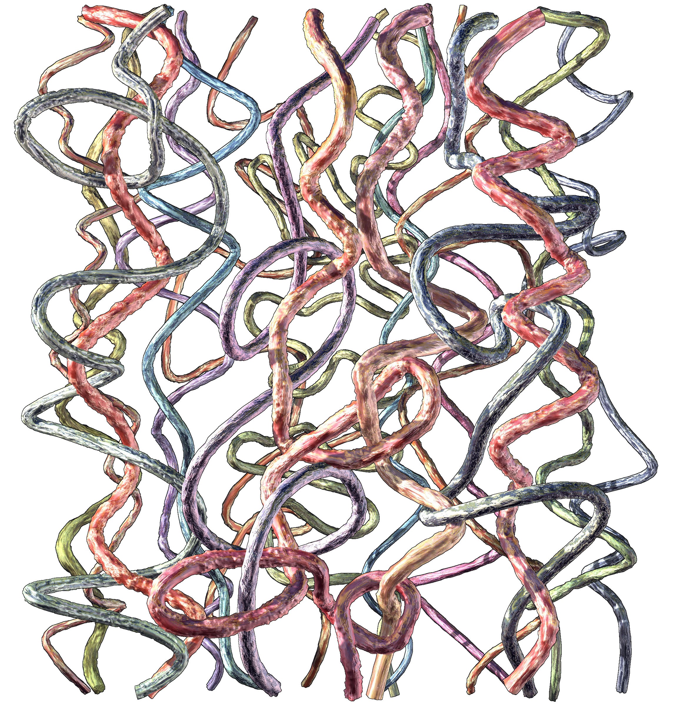 Video Installation by Jennifer Steinkamp
