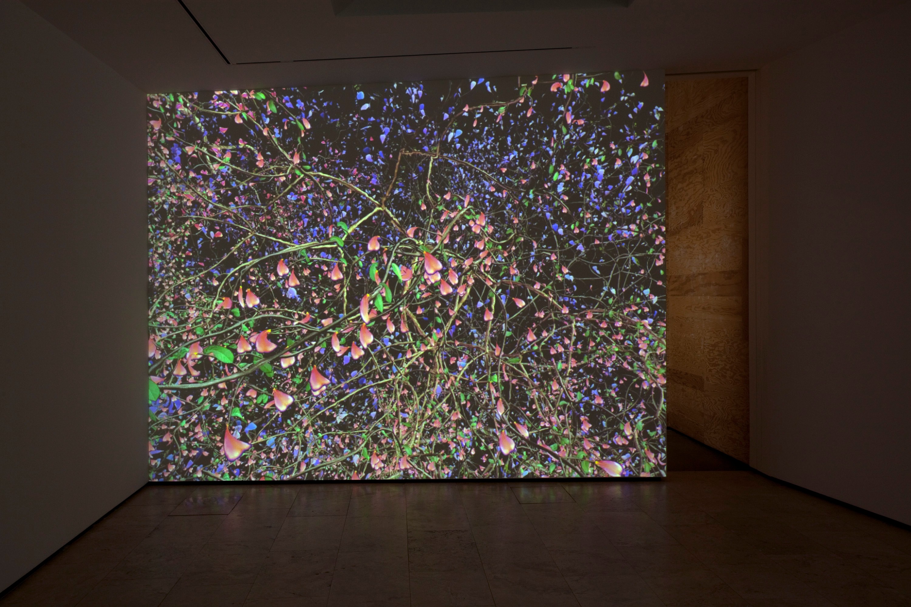 Installation view of Jennifer Steinkamp at Lehmann Maupin New York