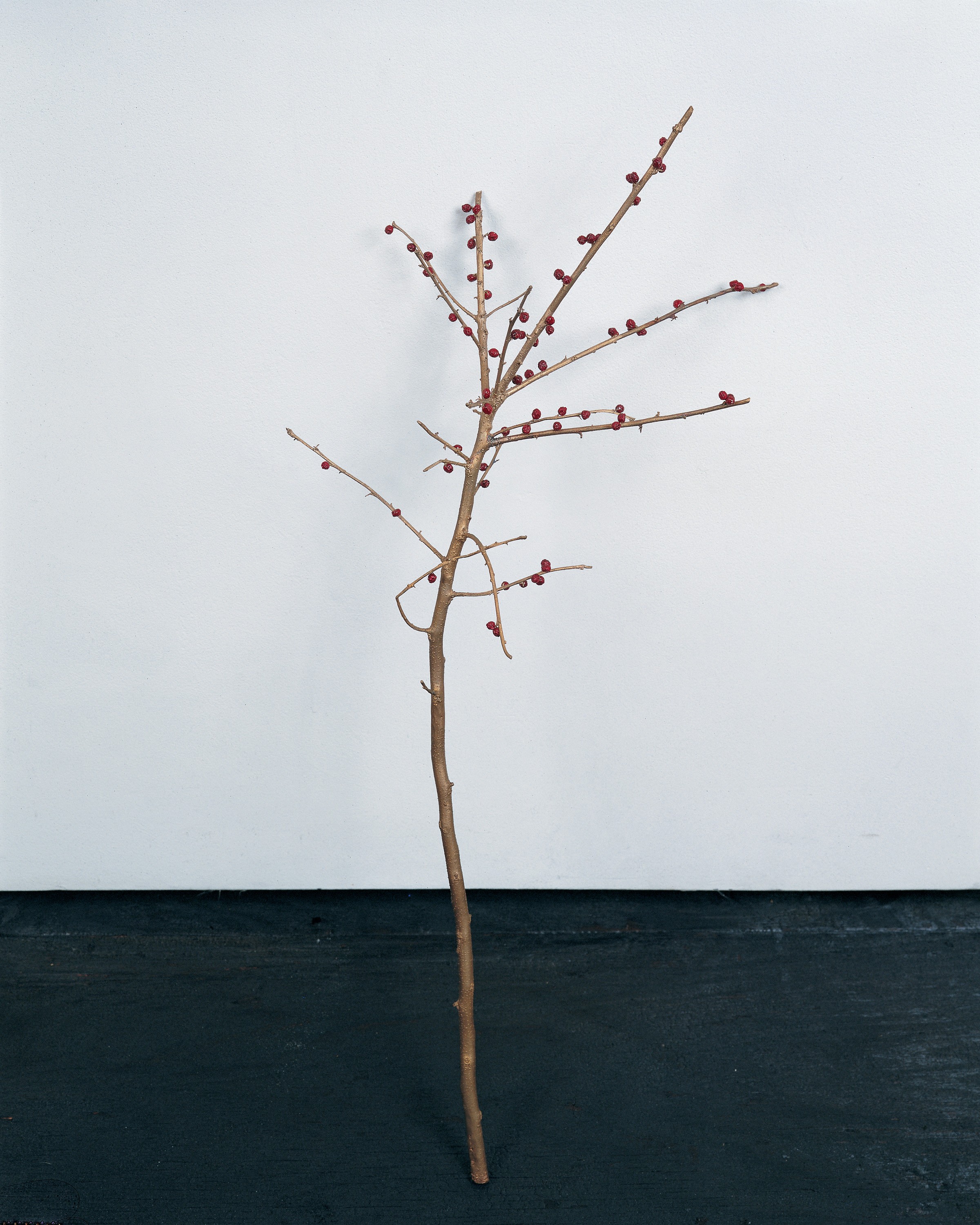 Sculpture by Anya Gallaccio
