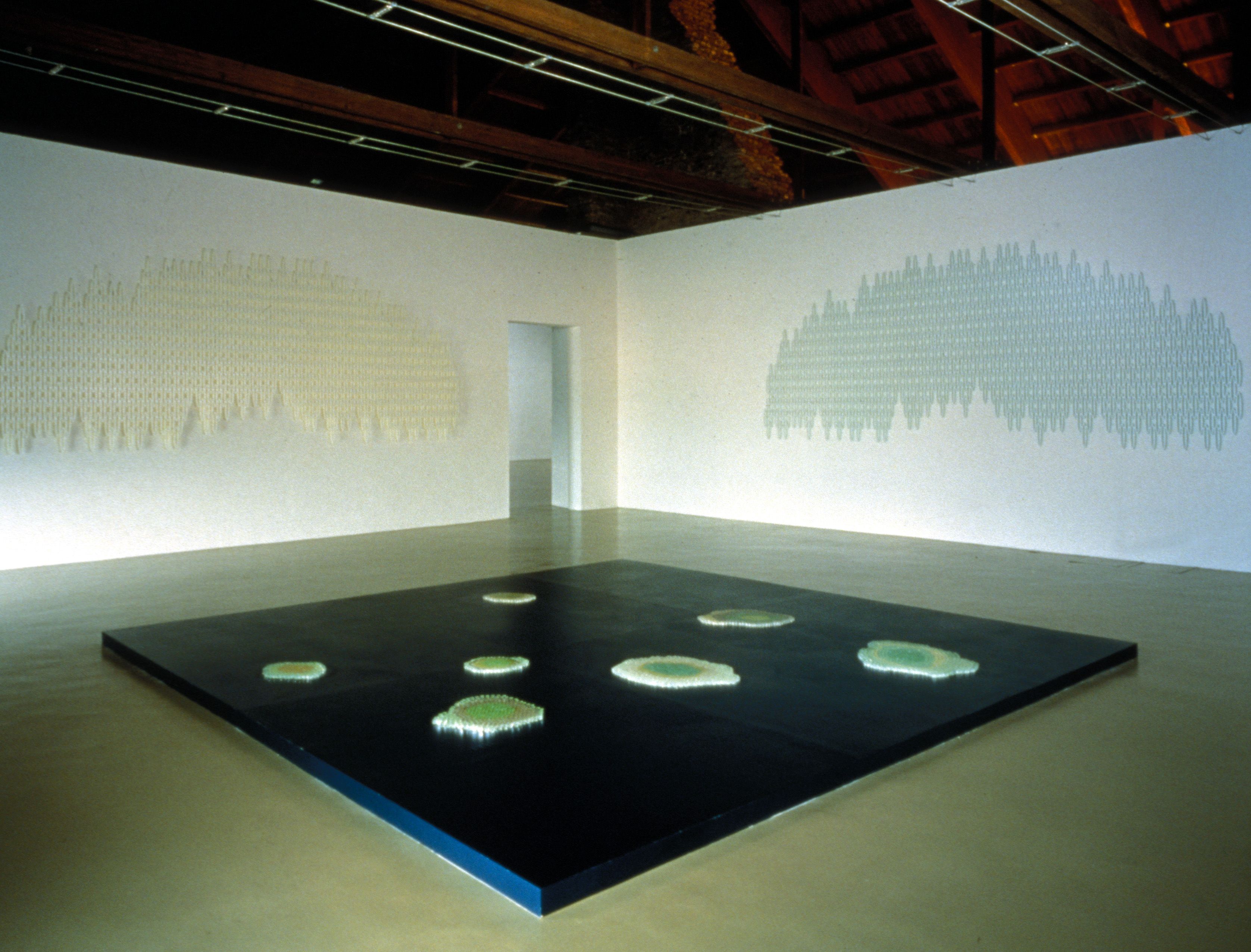 Installation view of Teresita Fernández at Castello di Rivoli