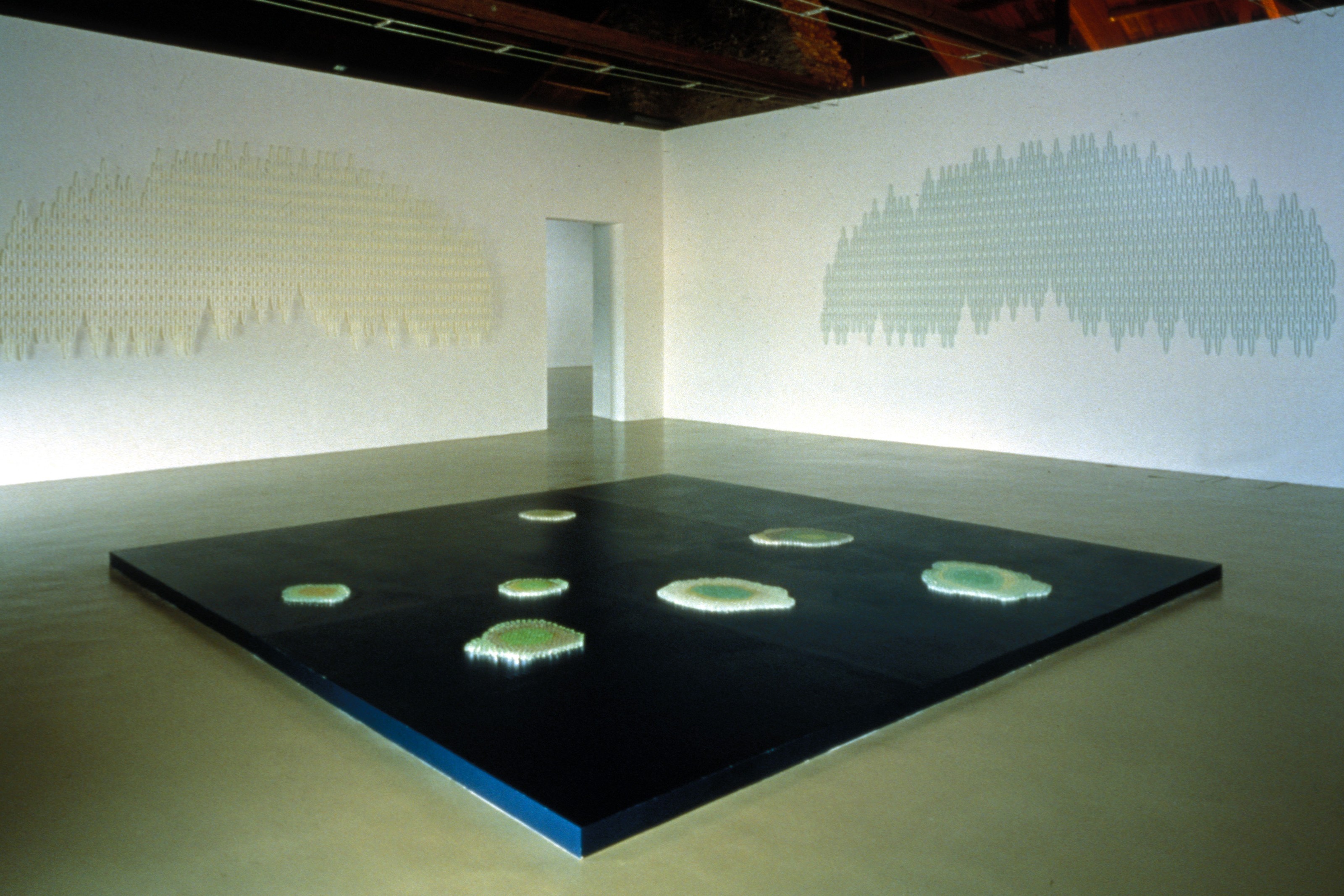 Installation view of Teresita Fernández at Castello di Rivoli