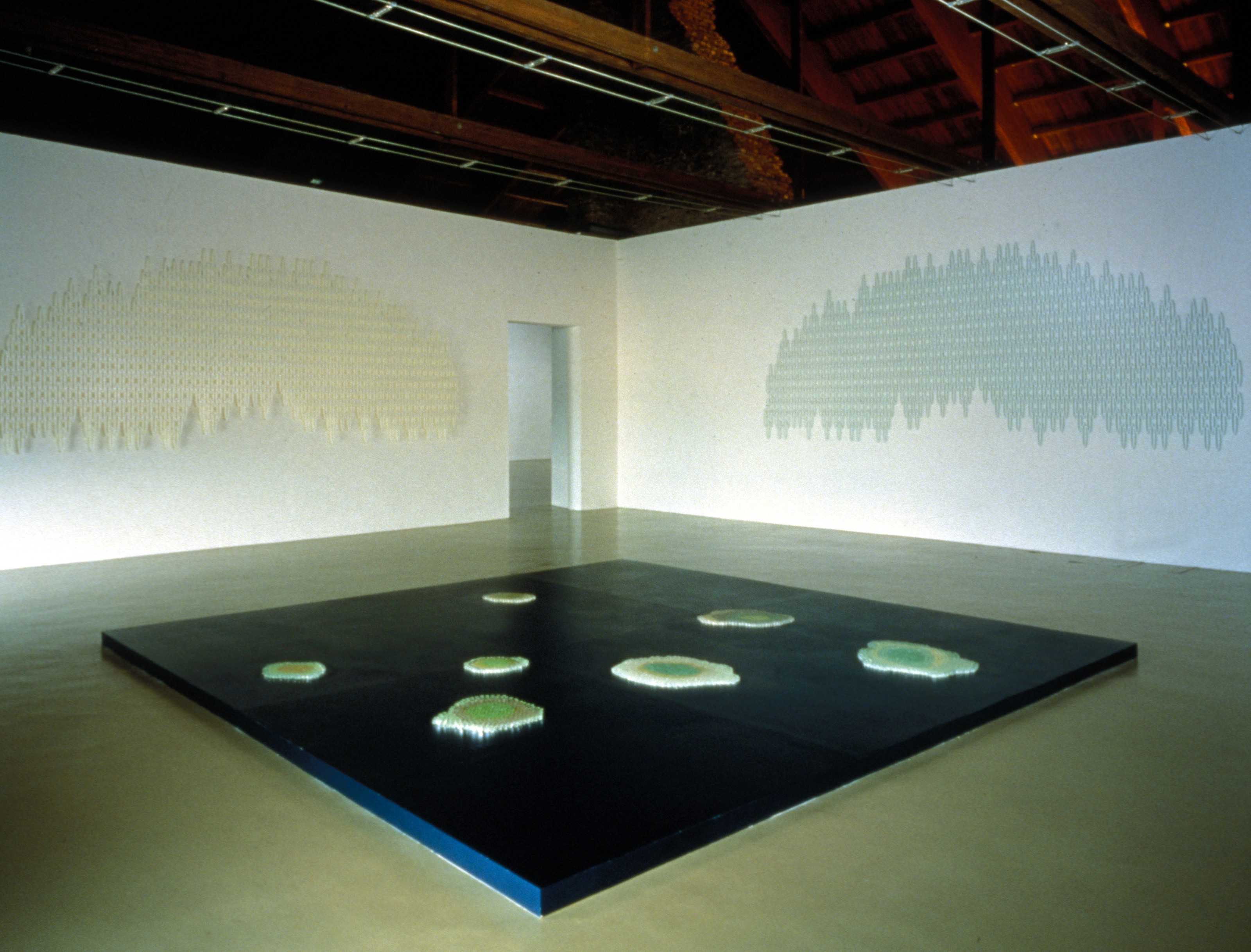Installation view of Teresita Fernández at Castello di Rivoli