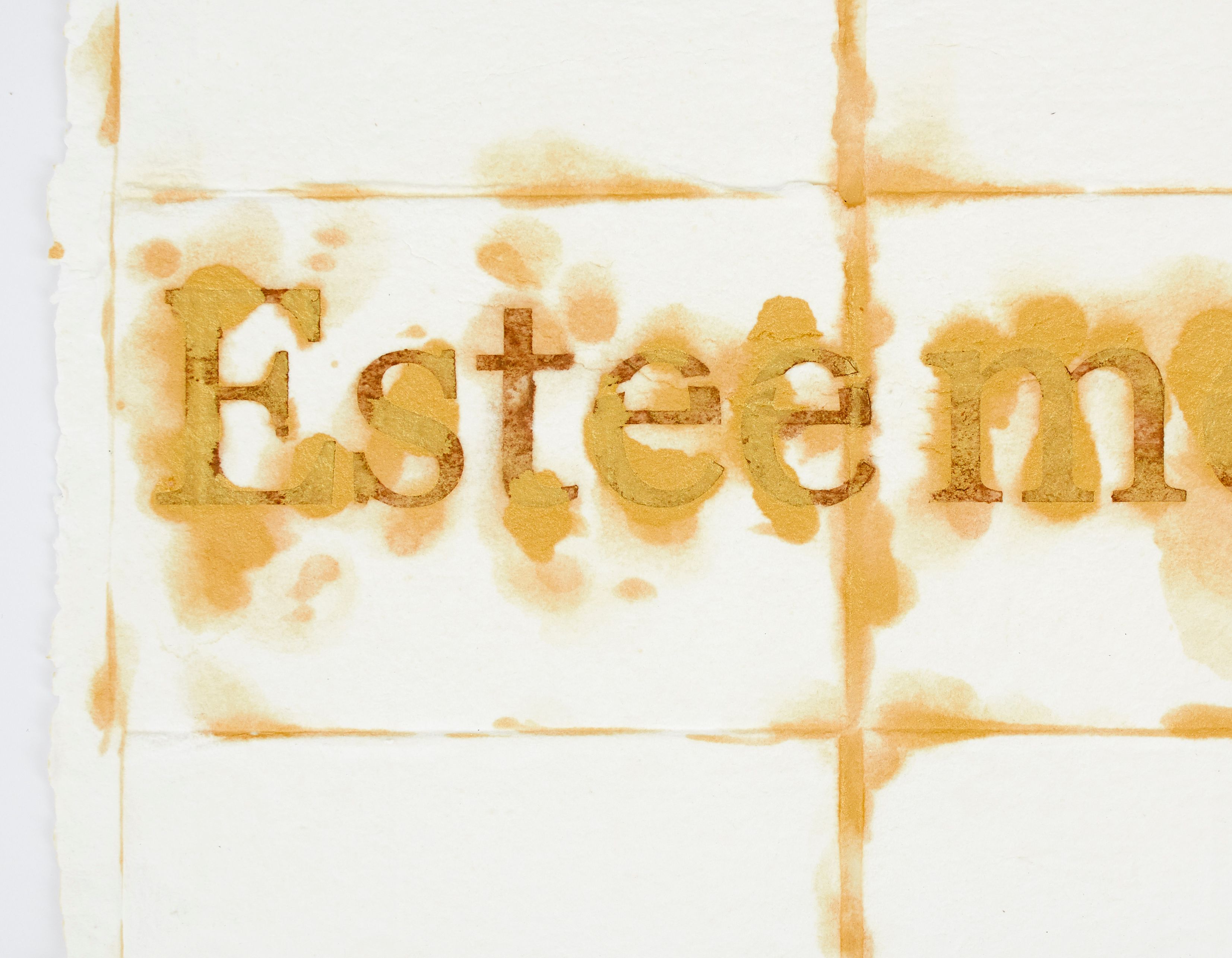 Detail of work on paper by Nari Ward