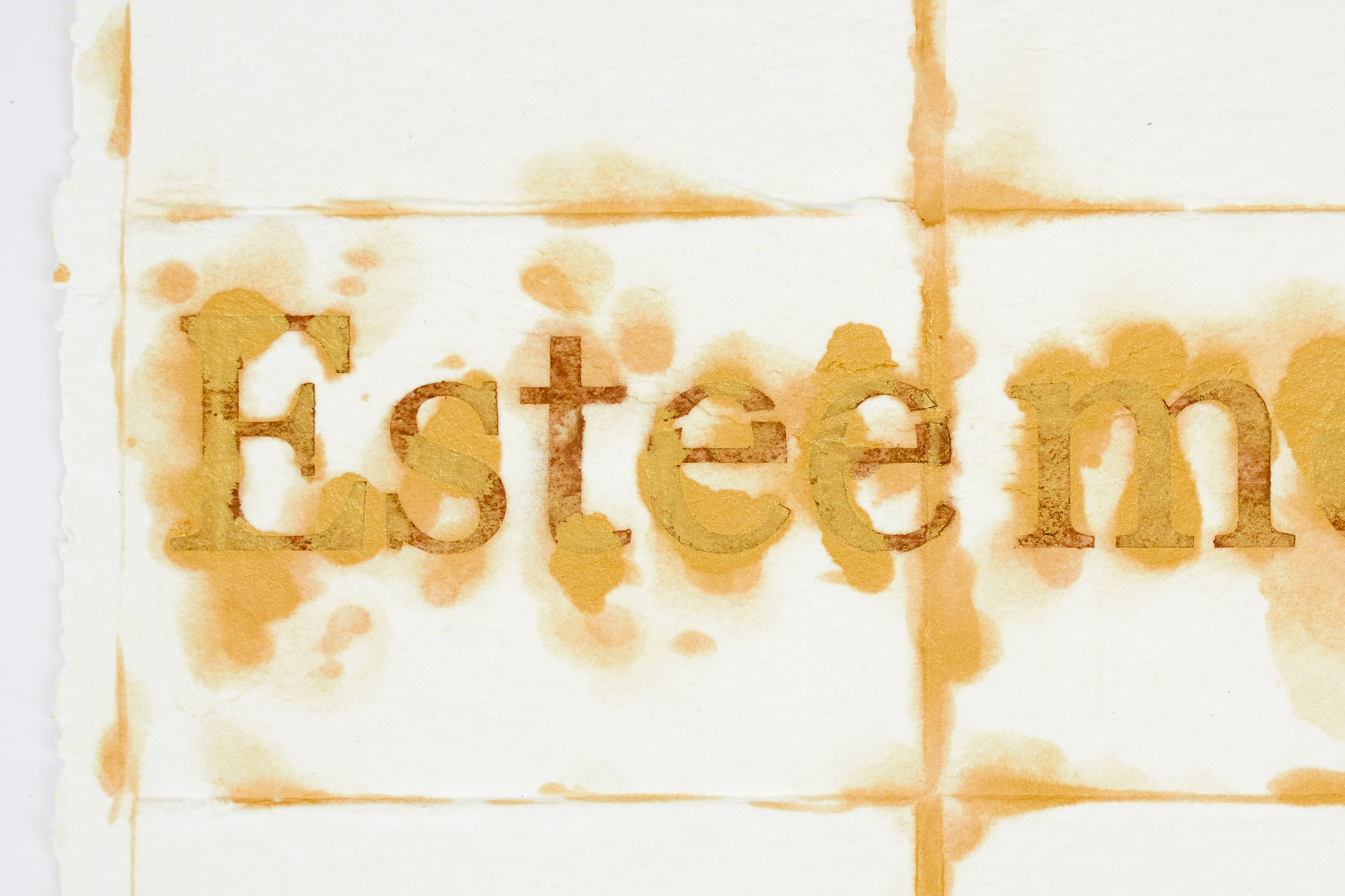 Detail of work on paper by Nari Ward