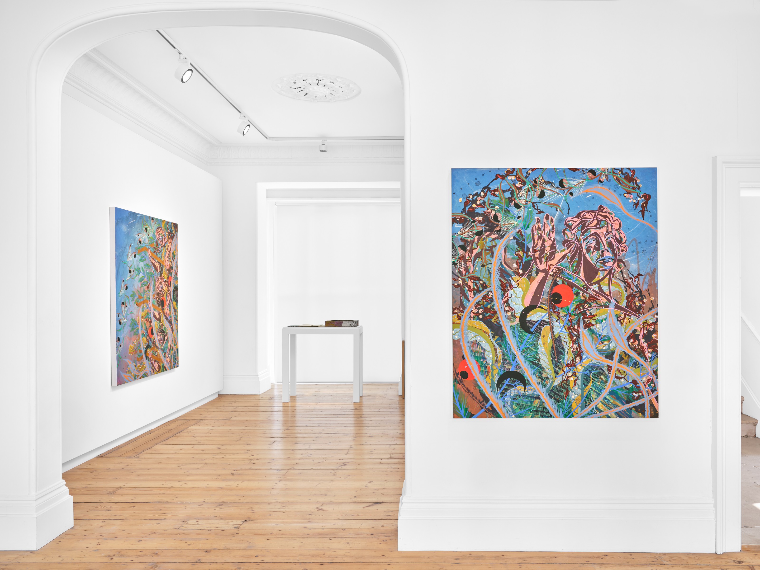 Installation view of Tammy Nguyen at Lehmann Maupin London