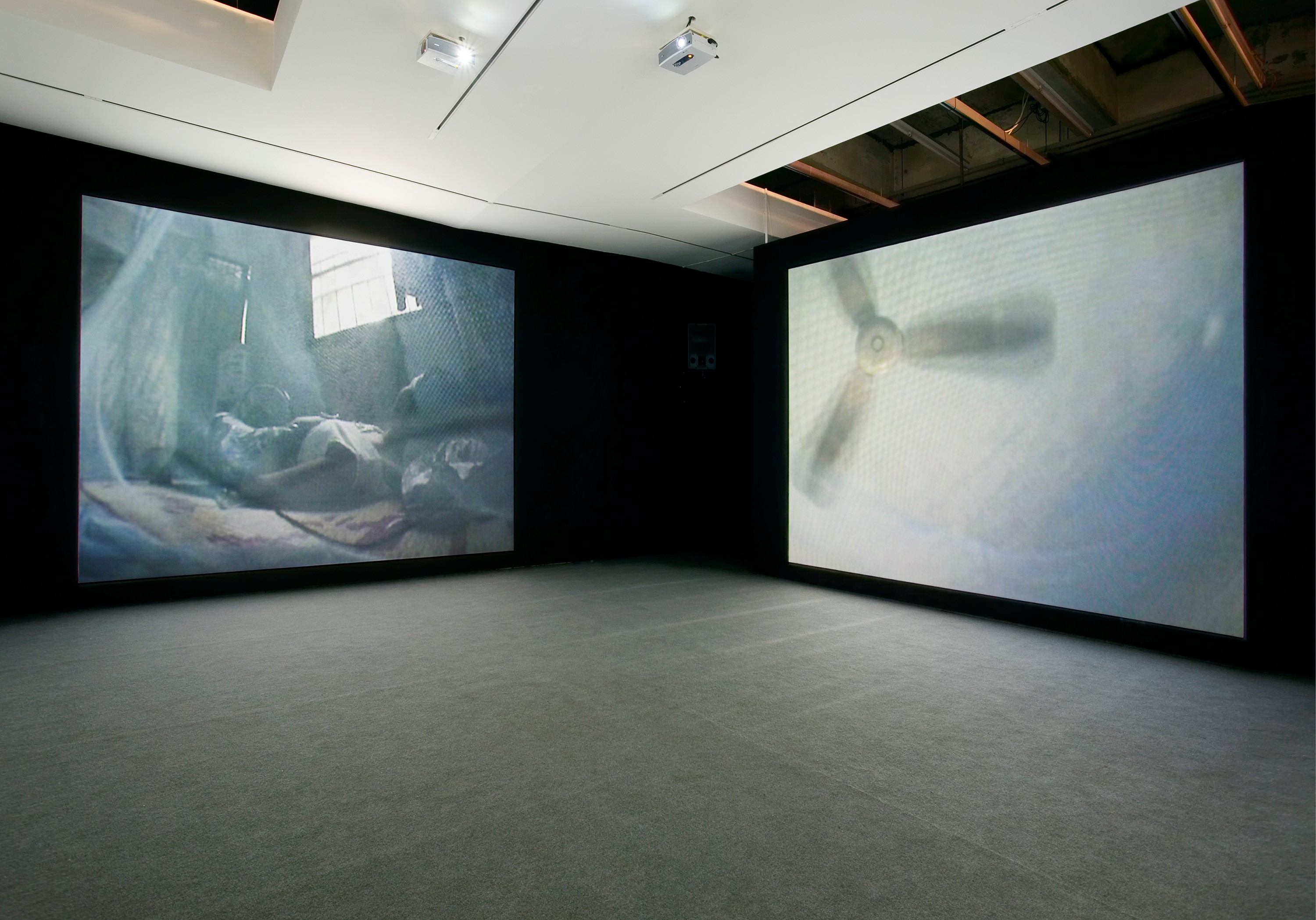 Installation view of Jun Nguyen-Hatsushiba at Lehmann Maupin New York