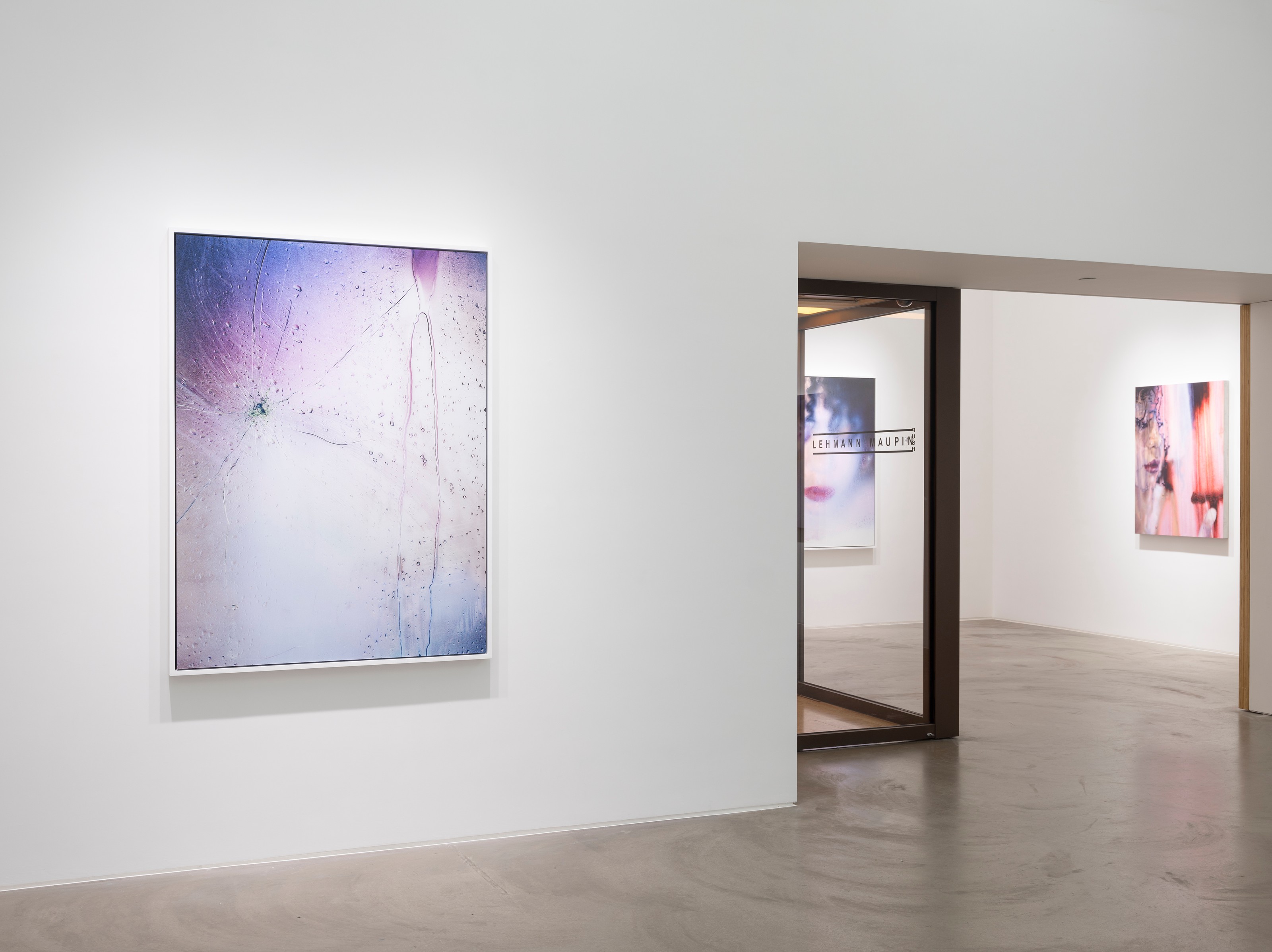 Installation view of Marilyn Minter at Lehmann Maupin Hong Kong