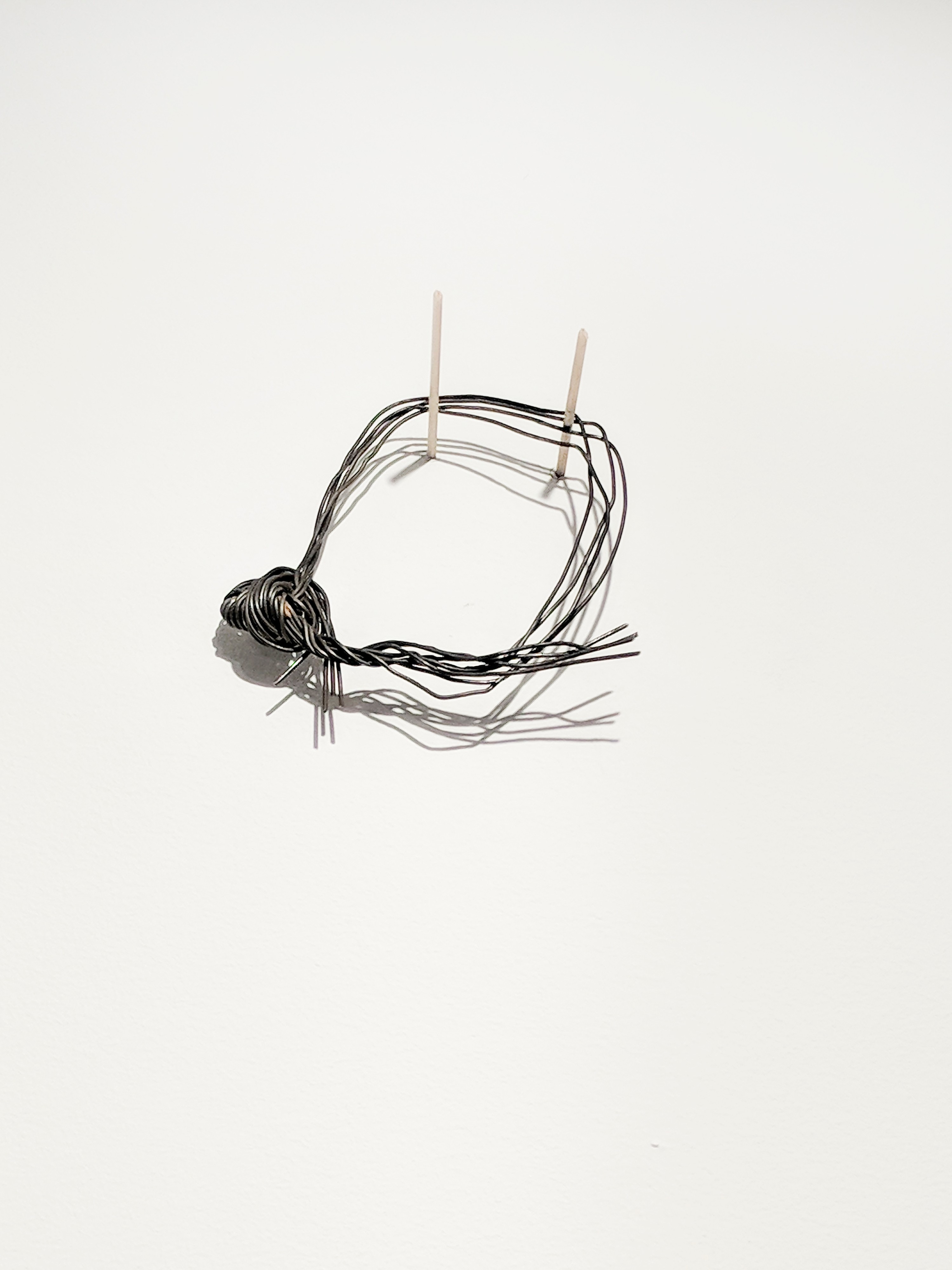 Precarios by Cecilia Vicuña