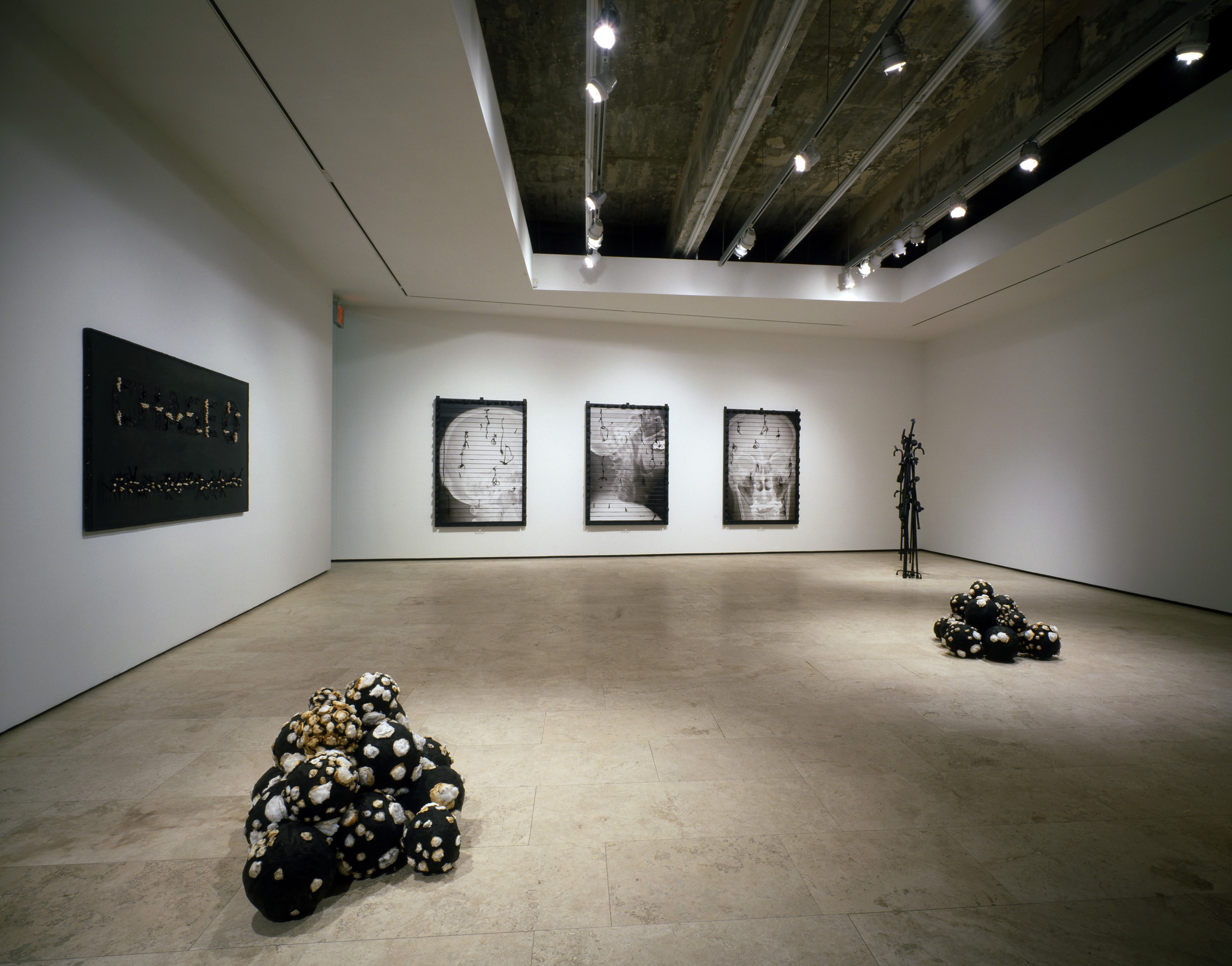Nari Ward installation view