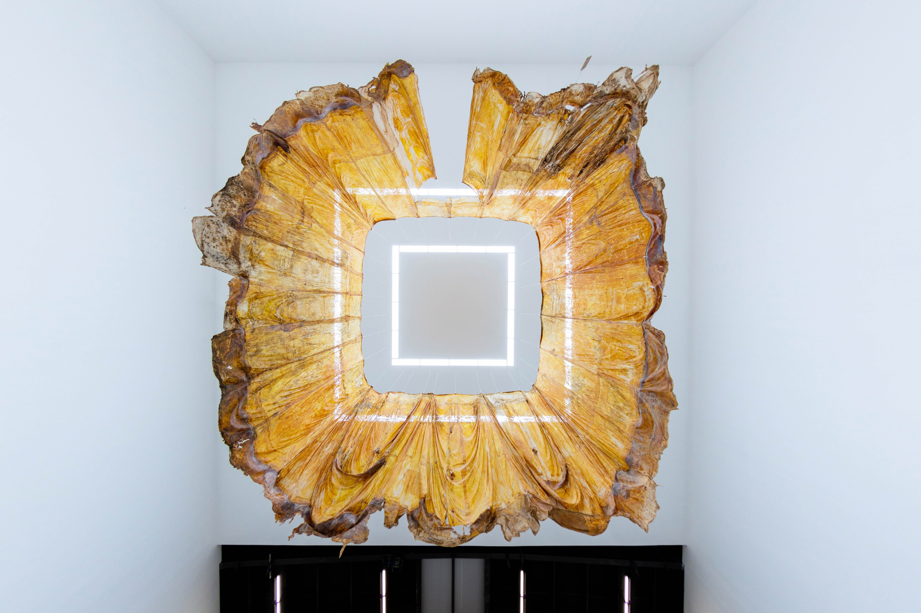 Installation view of Heidi Bucher at Red Brick Art Museum