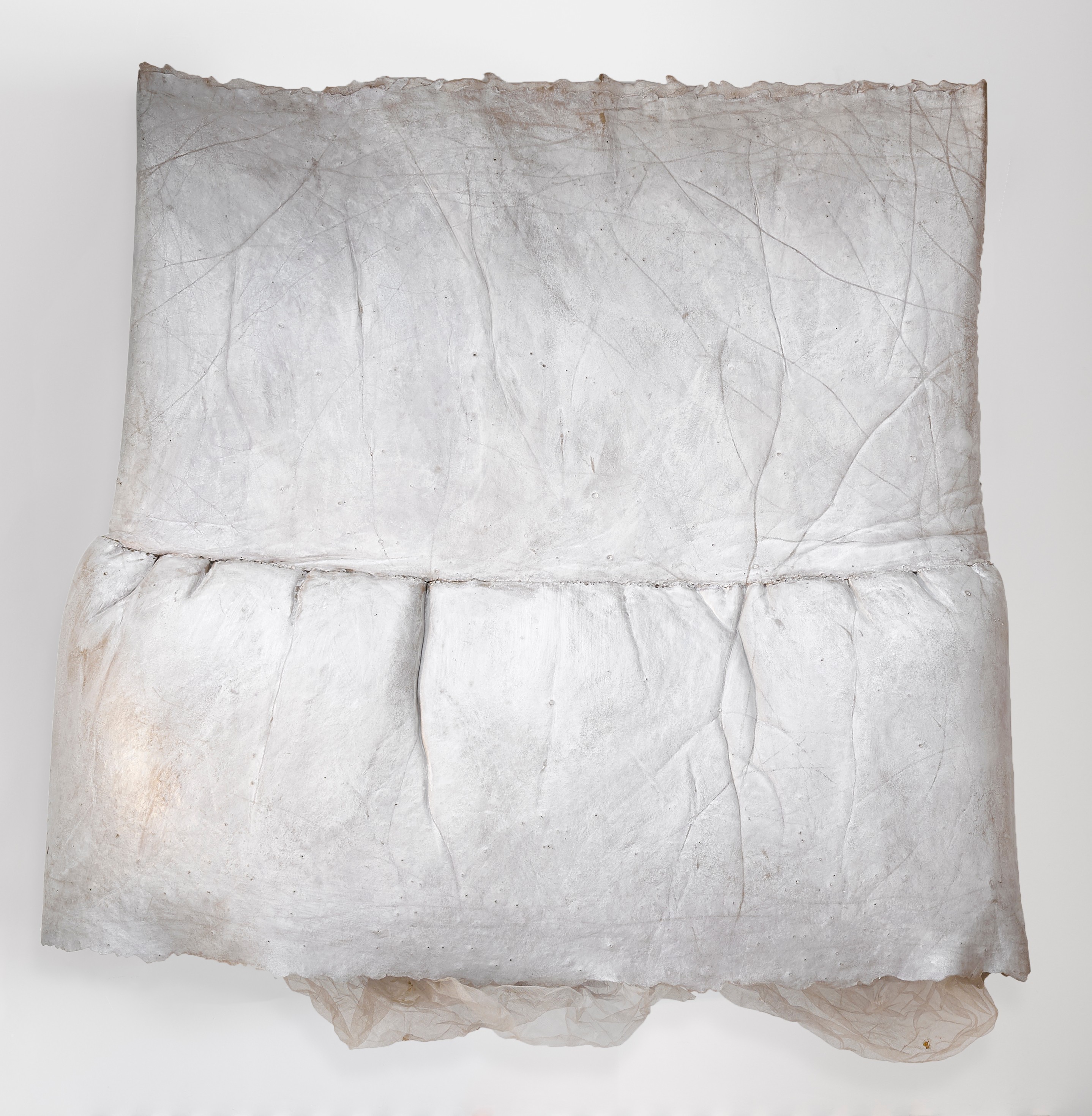 Object by Heidi Bucher