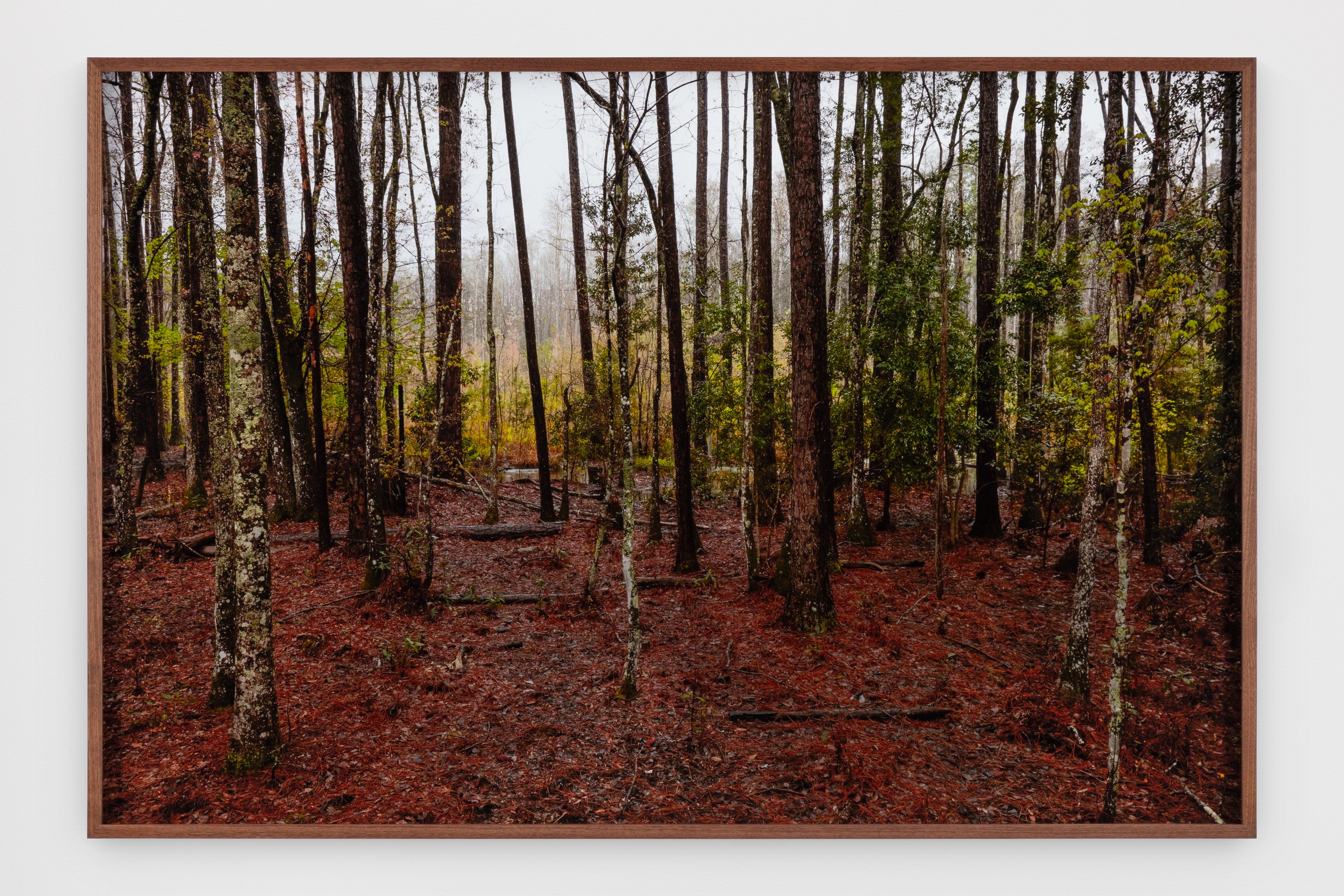 Photograph by Catherine Opie