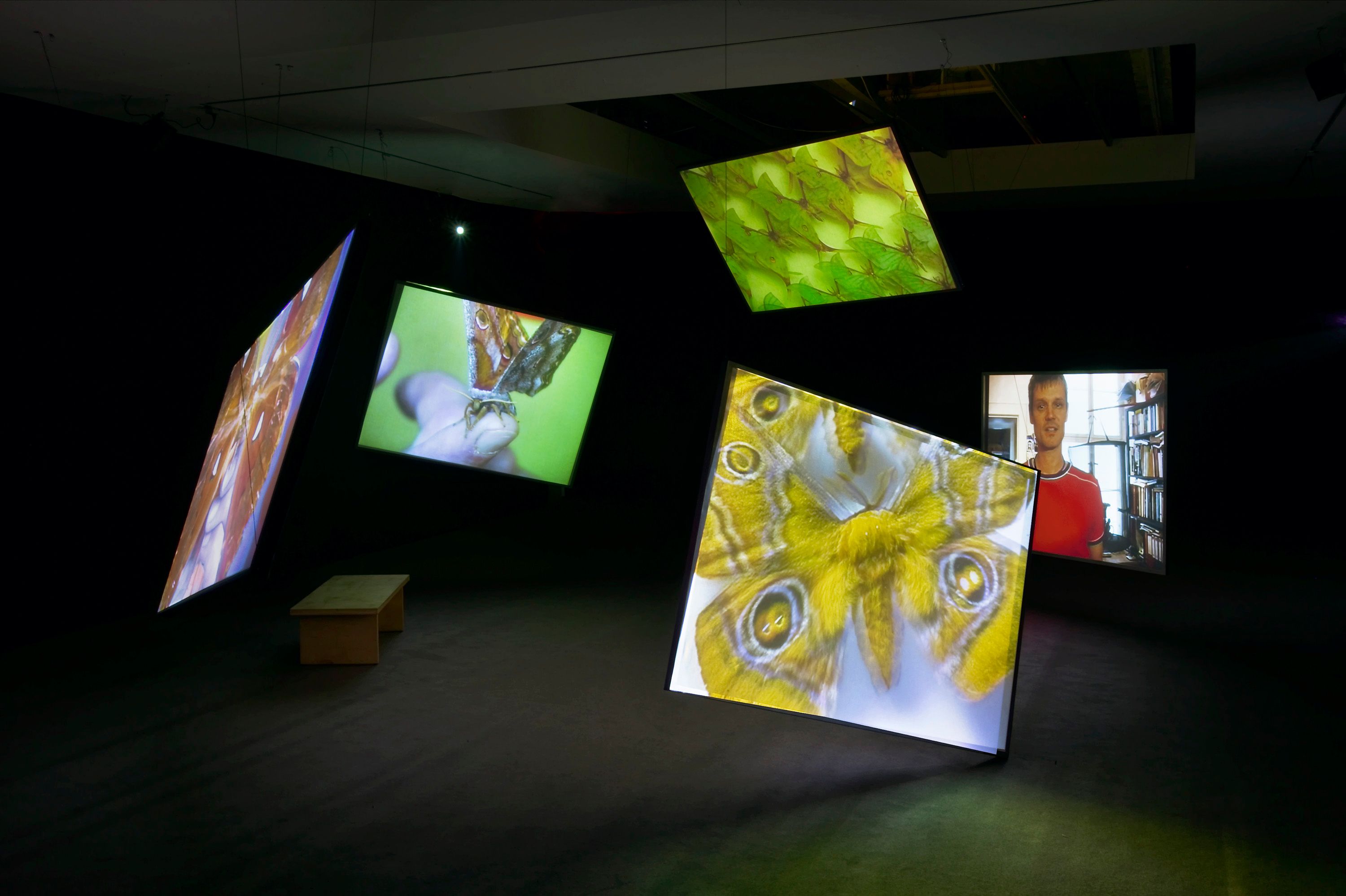 Installation view of Kutlug Ataman at Lehmann Maupin New York