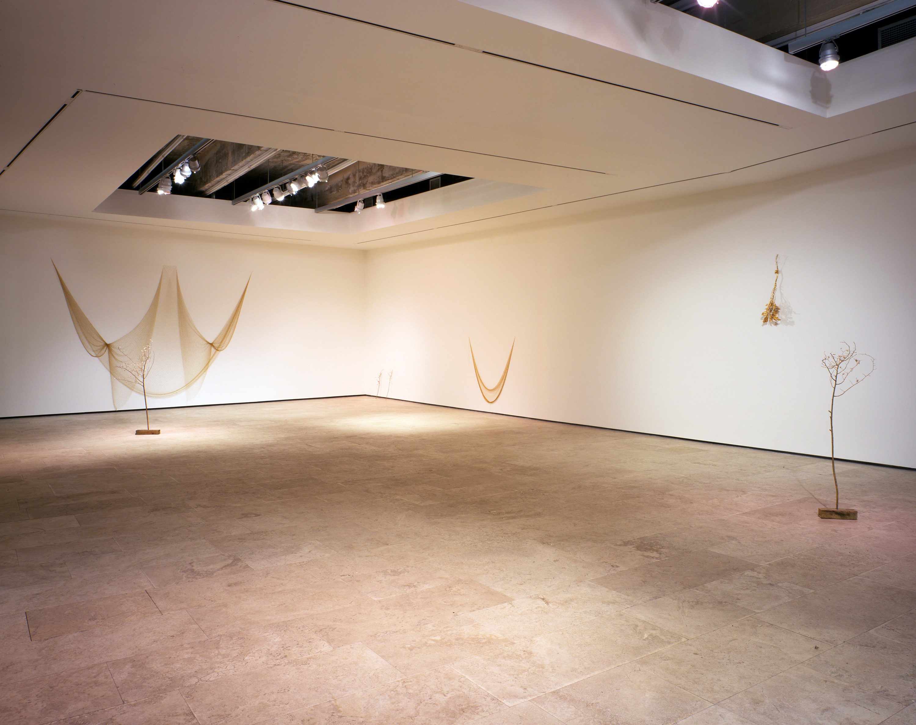 Installation view of Anya Gallaccio at Lehmann Maupin New York