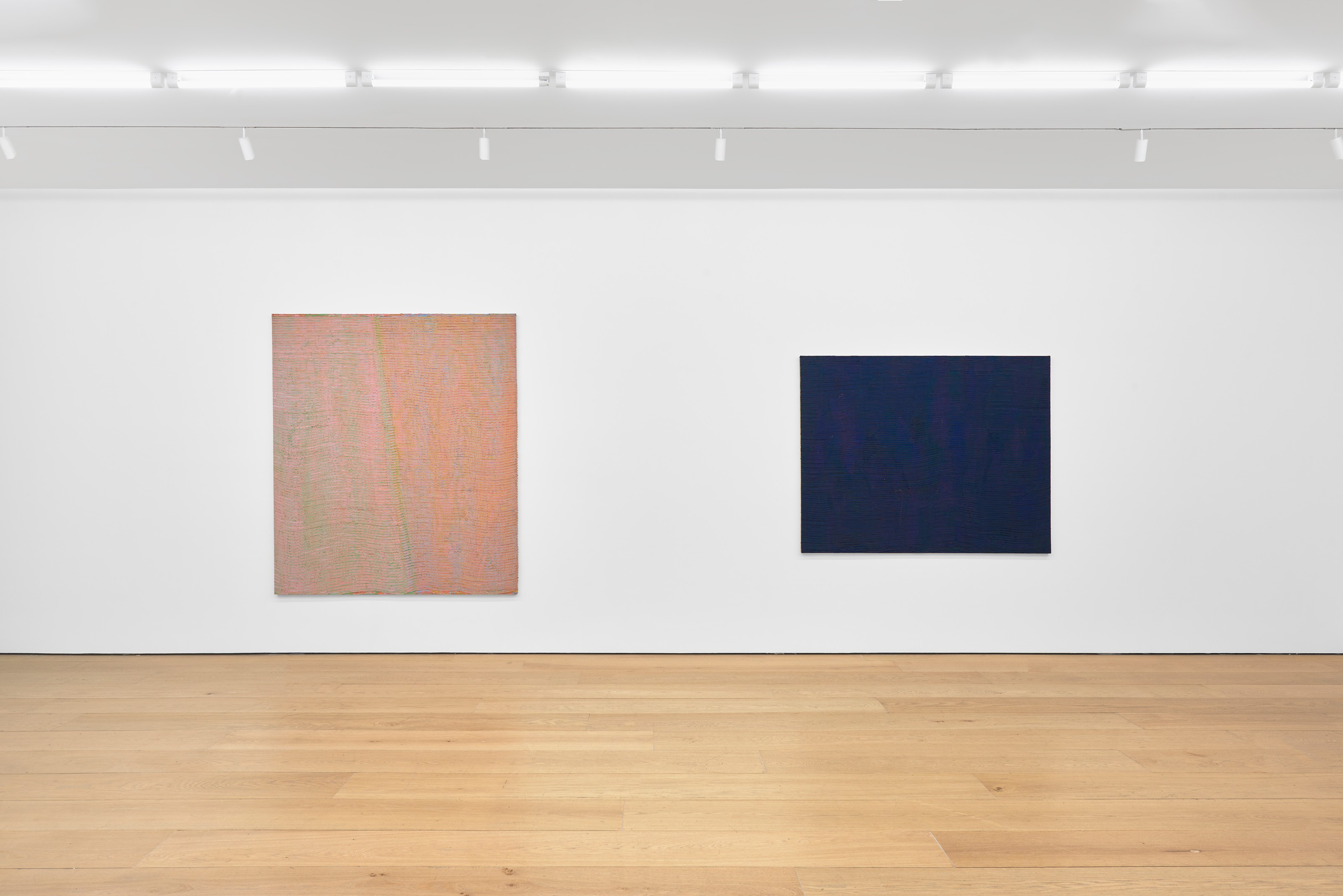 Installation view of Loriel Beltrán at Lehmann Maupin New York