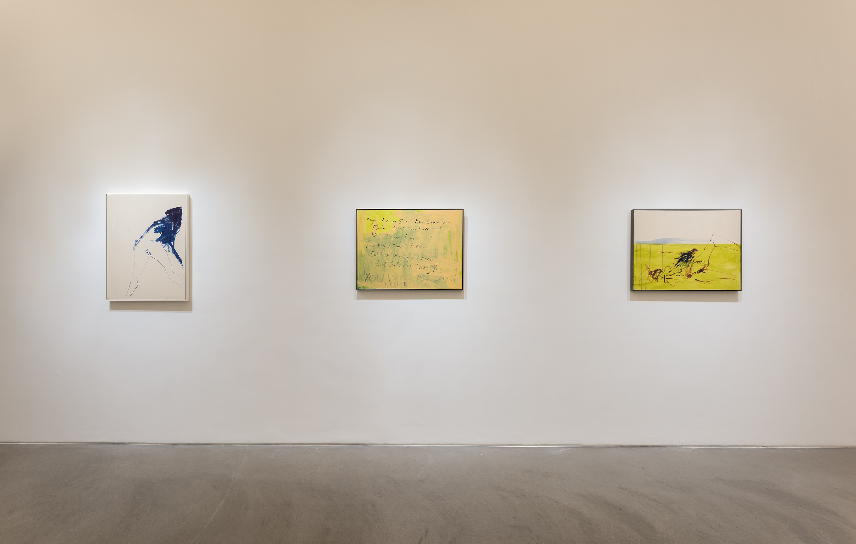 Installation view of I Cried Because I Love You at Lehmann Maupin Hong Kong