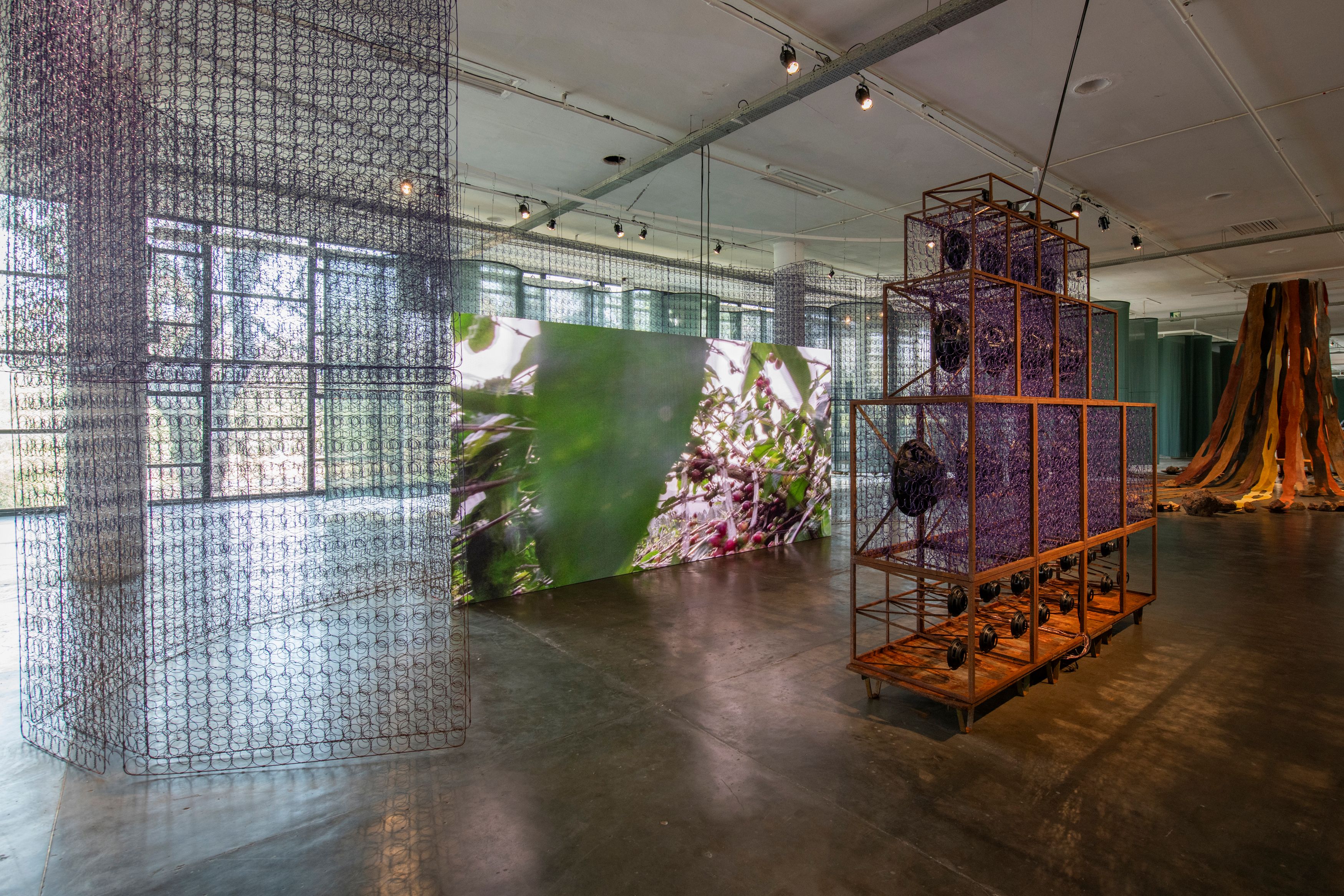 Nari Ward: Spring Seed Installation