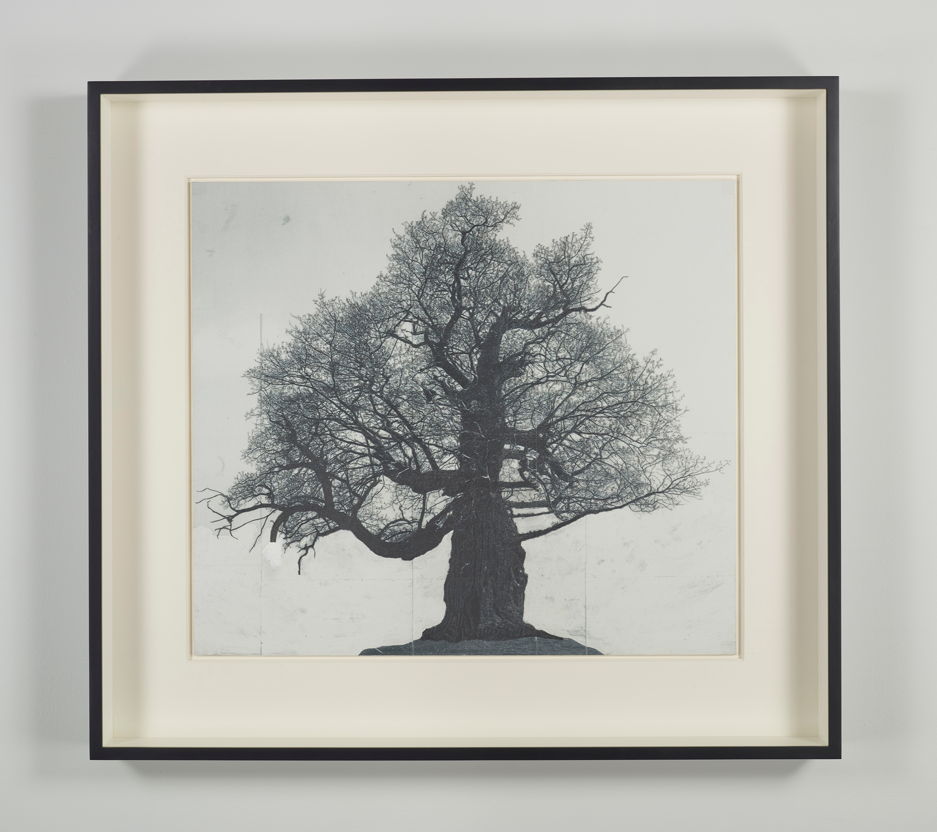 Drawing by Patrick Van Caeckenberg