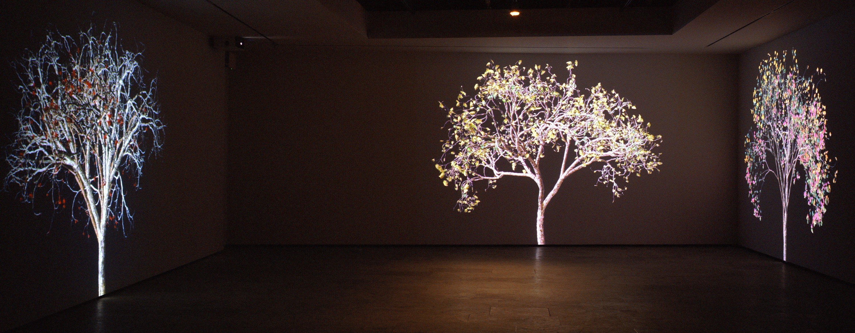 Installation of Jennifer Steinkamp at Lehmann Maupin New York