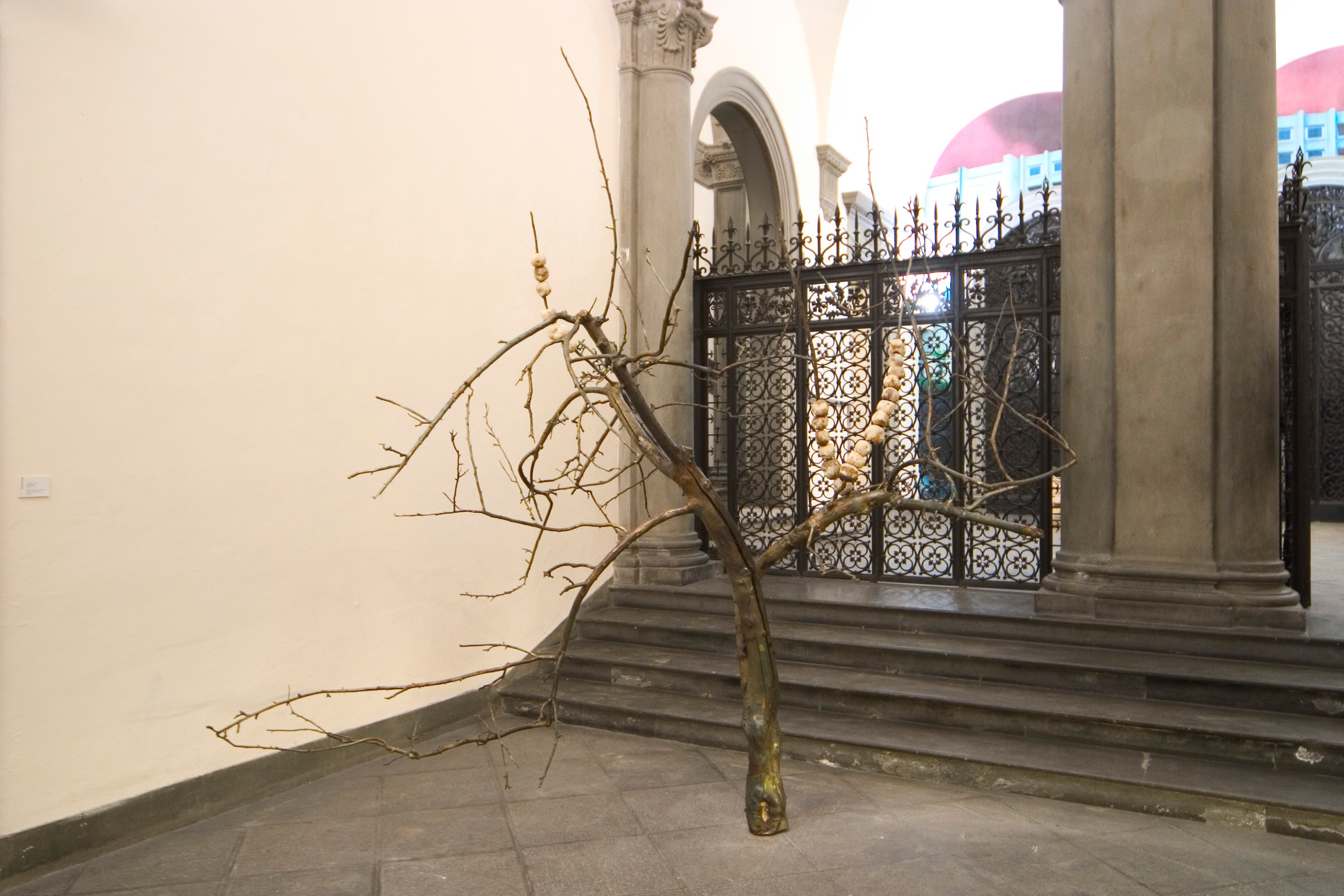 Installation view of The Look of Things at Palazzo delle Papesse