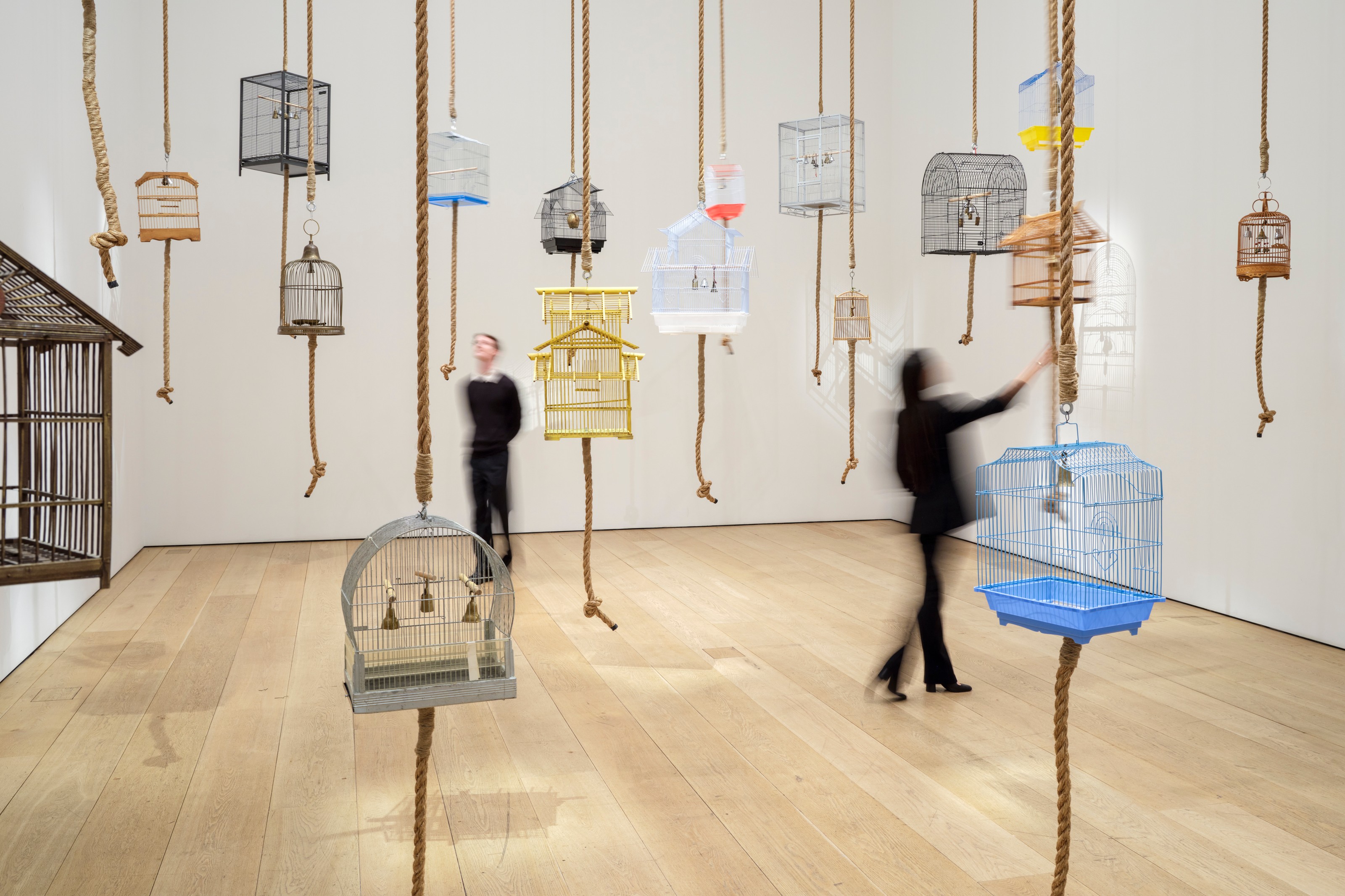 Installation by Kader Attia