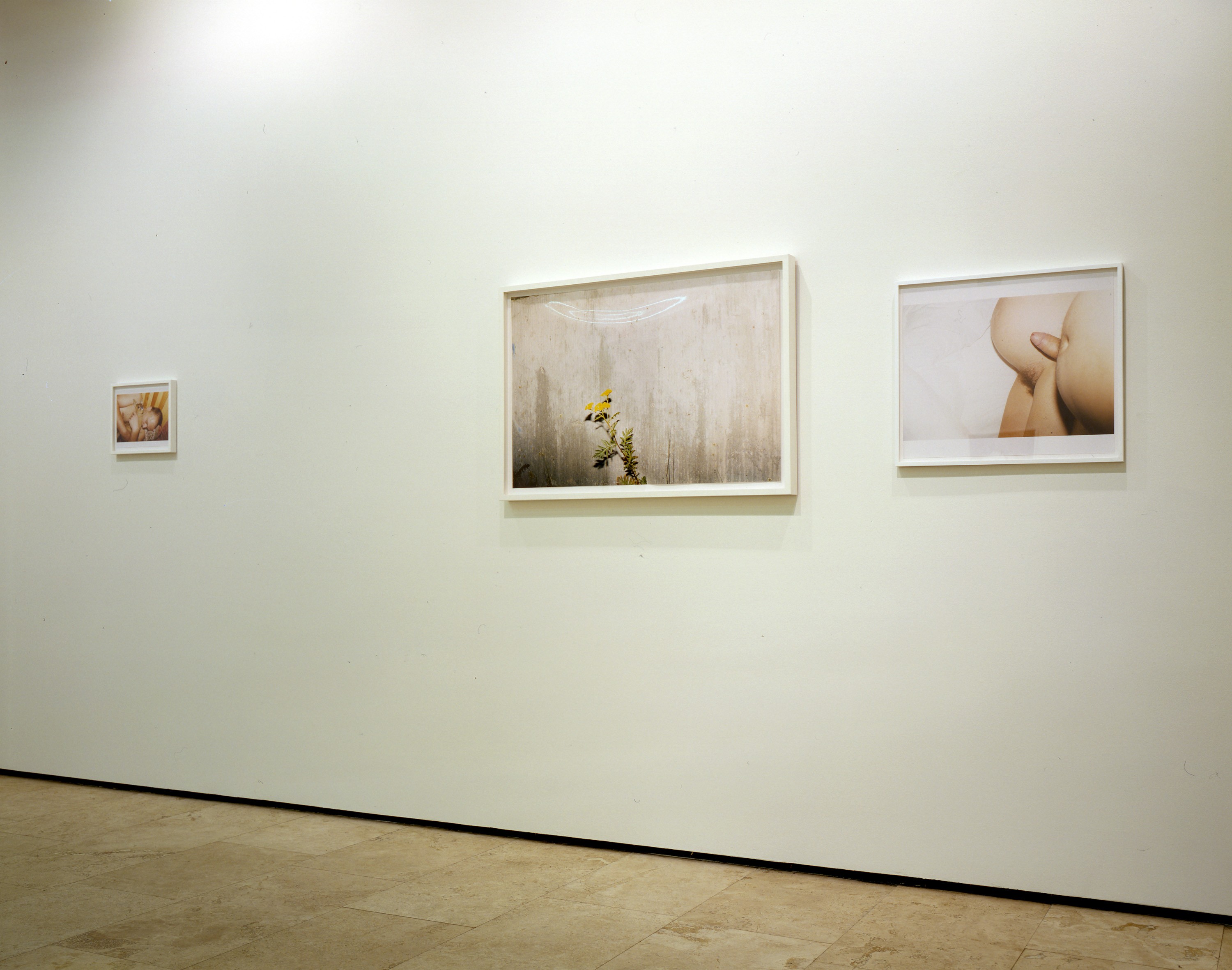 Installation of Nürnberg at Lehmann Maupin New York