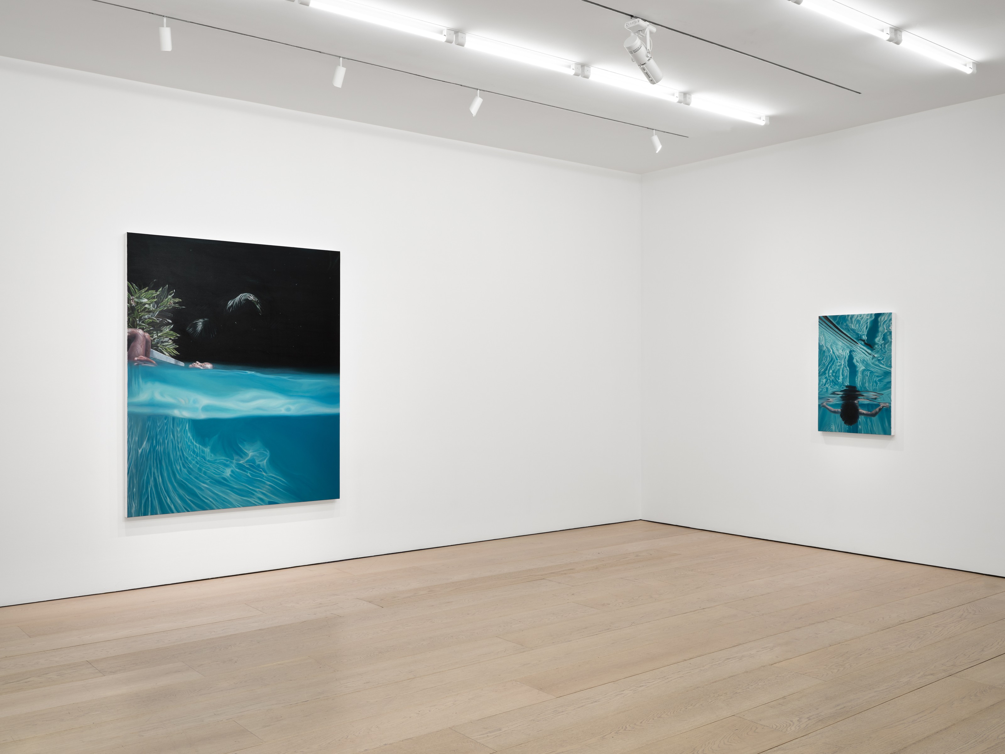 Calida Rawles installation view