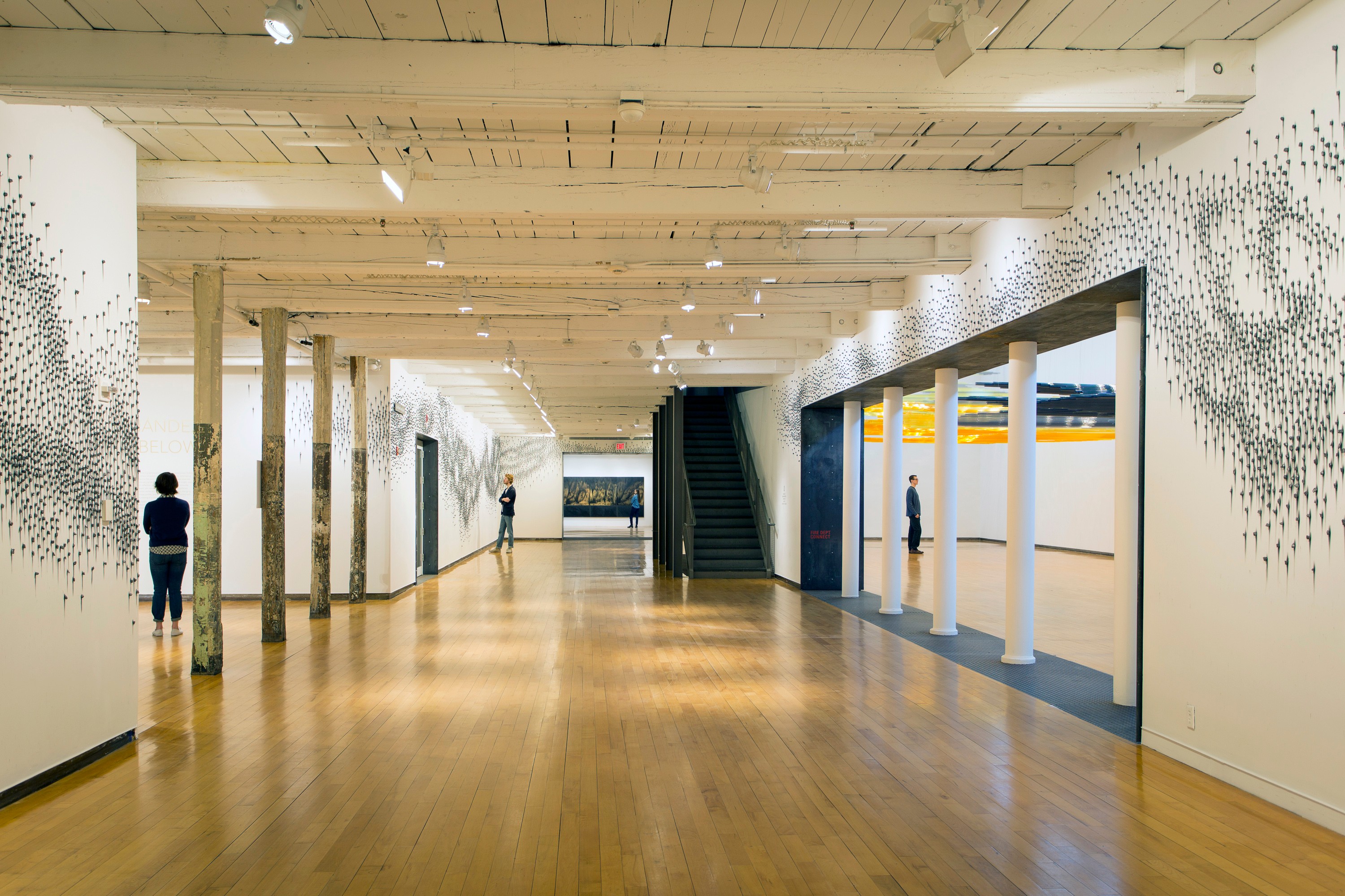 Teresita Fernández Installation