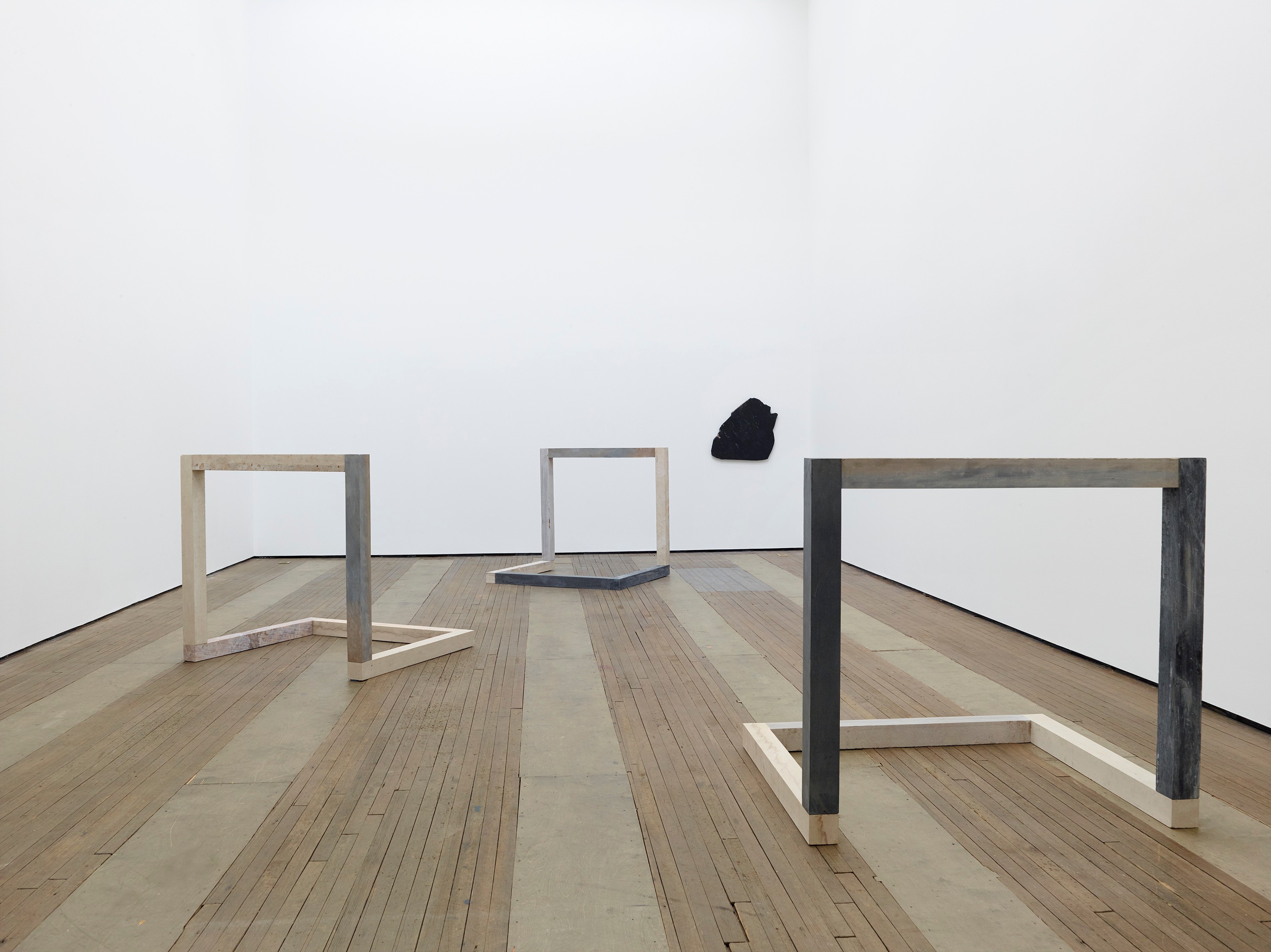 Installation view of Anya Gallaccio at Lehmann Maupin New York