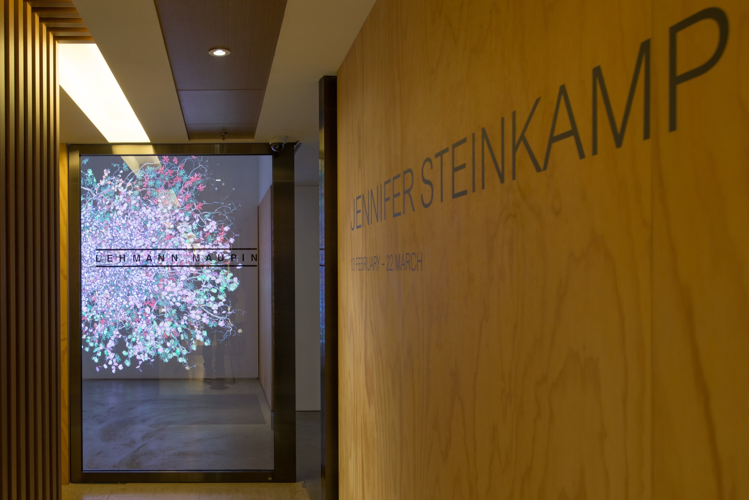 Installation view of Diaspore at Lehmann Maupin Hong Kong