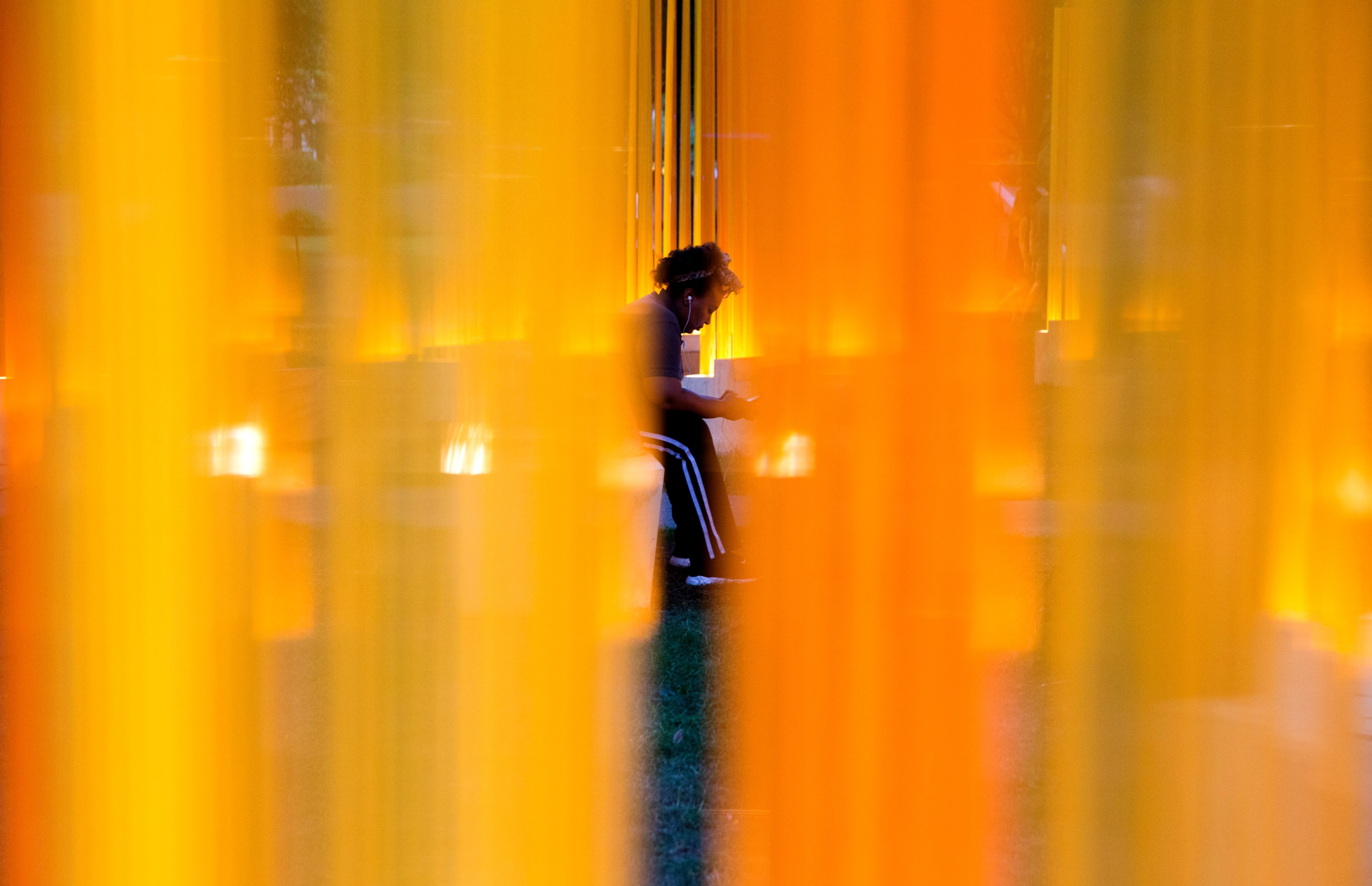 Teresita Fernández: Autumn (...Nothing Personal)