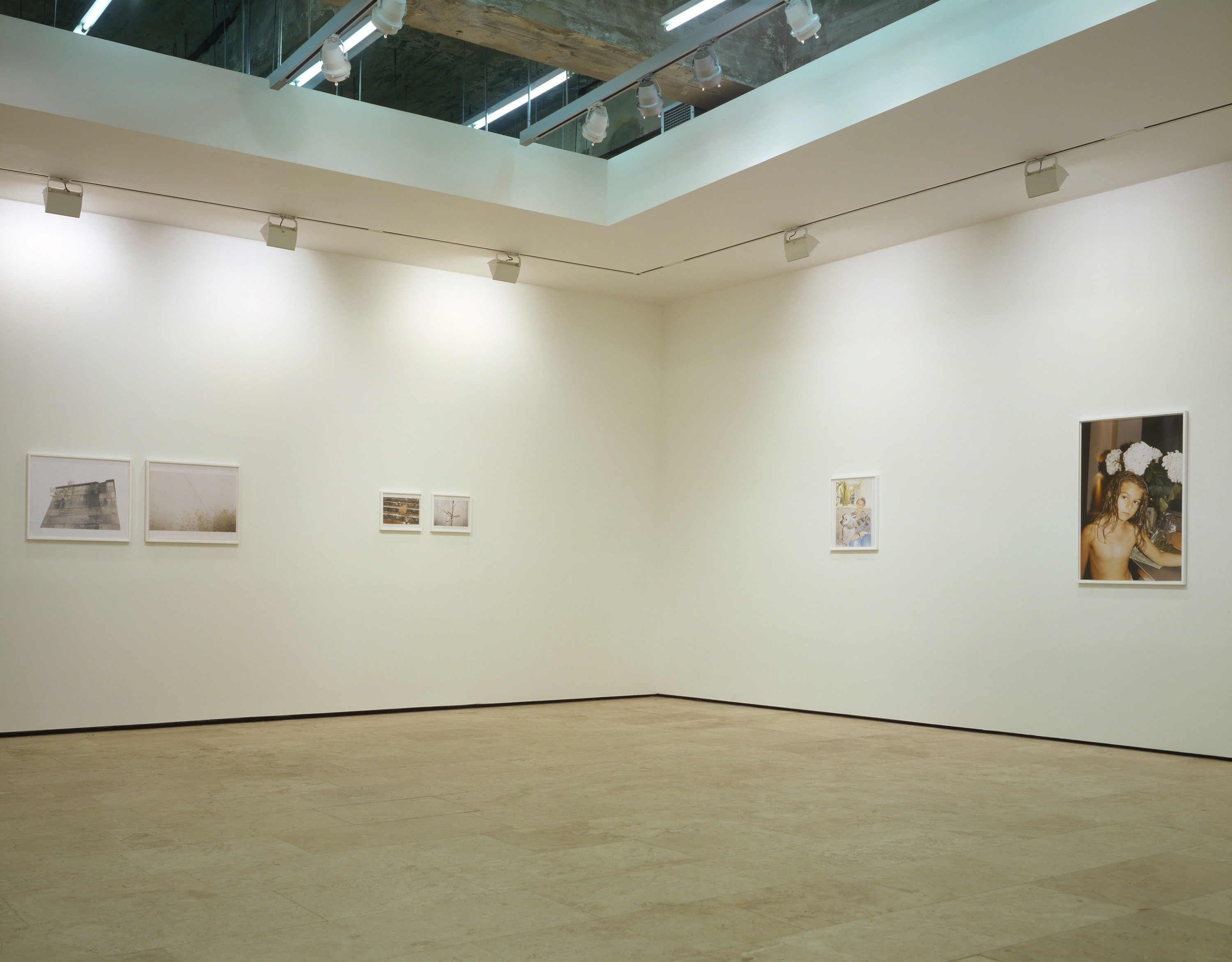 Installation of Nürnberg at Lehmann Maupin New York